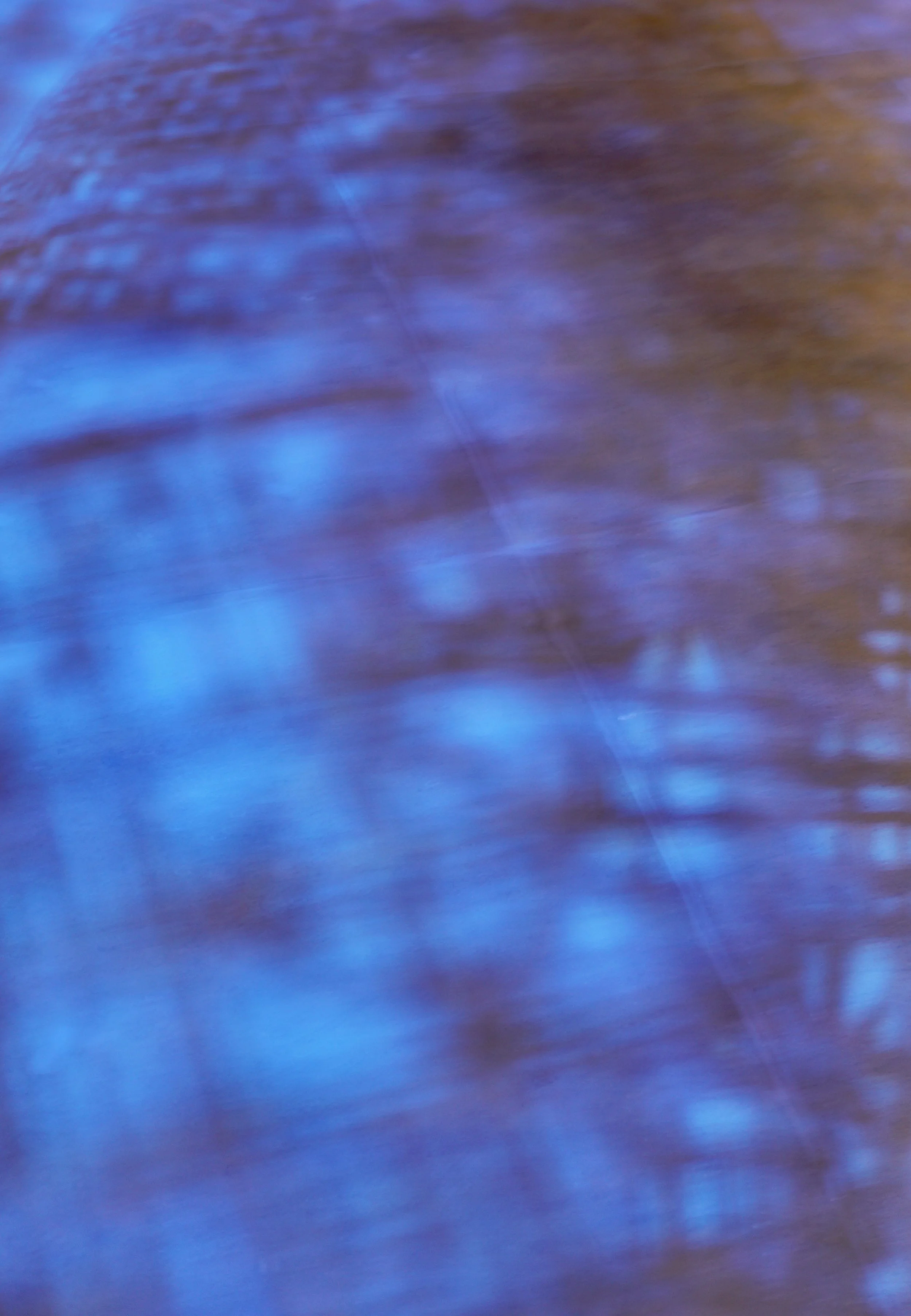  Movement 2023:454 (2023) C-print on wood panel, 60”x40” 