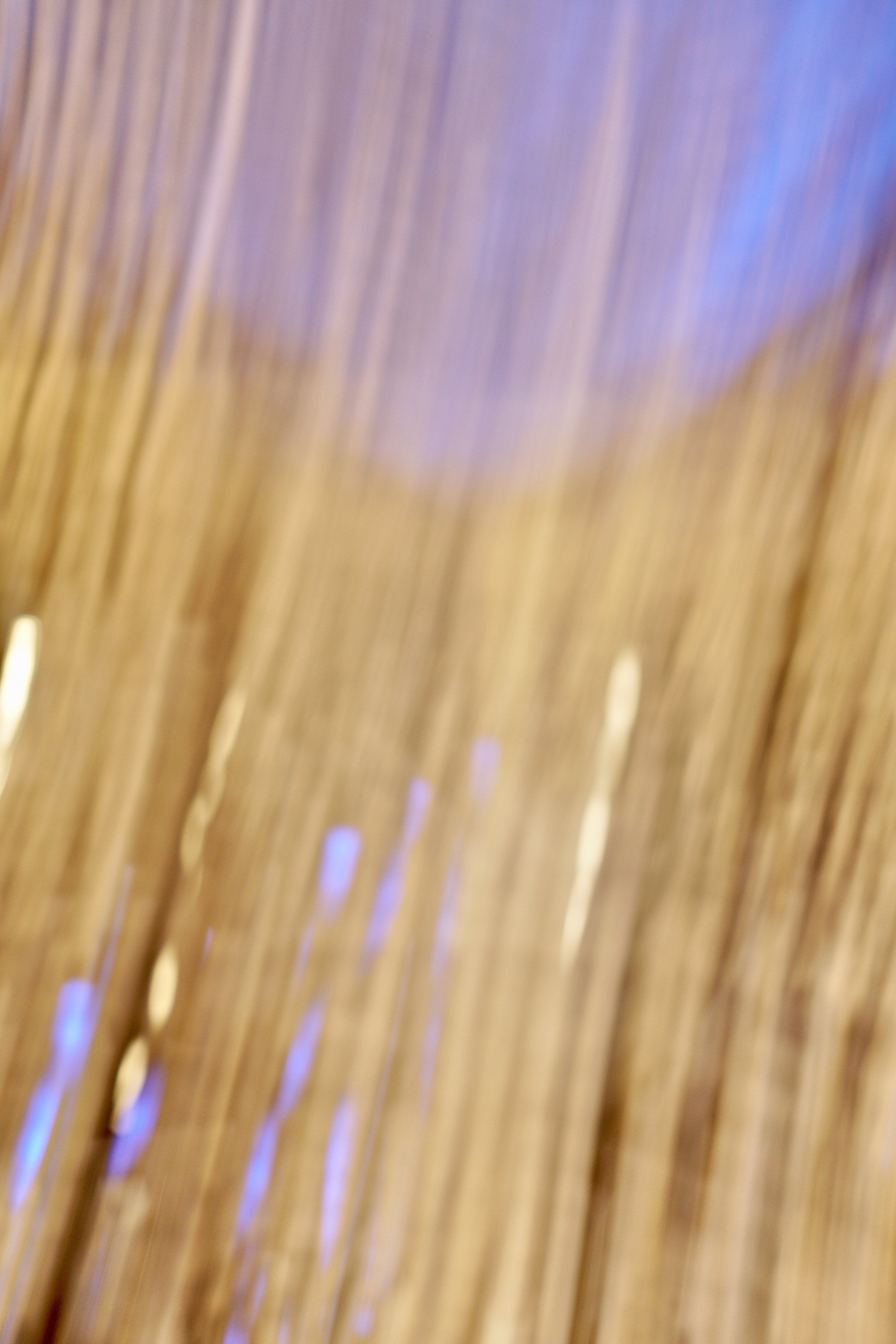  Movement 2023:457 (2023) C-print on wood panel, 60”x40” 