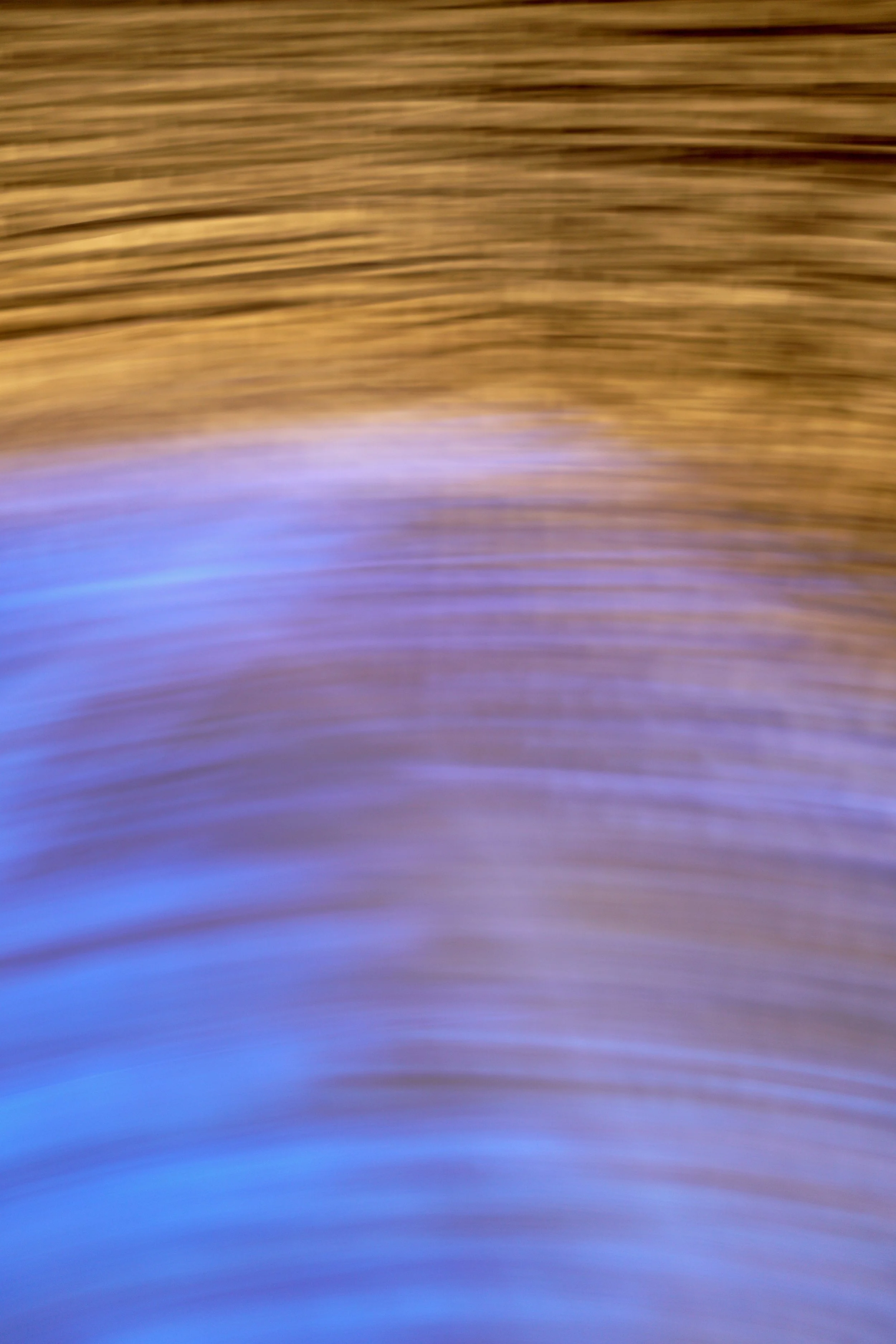  Movement 2023:458 (2023) C-print on wood panel, 60”x40” 