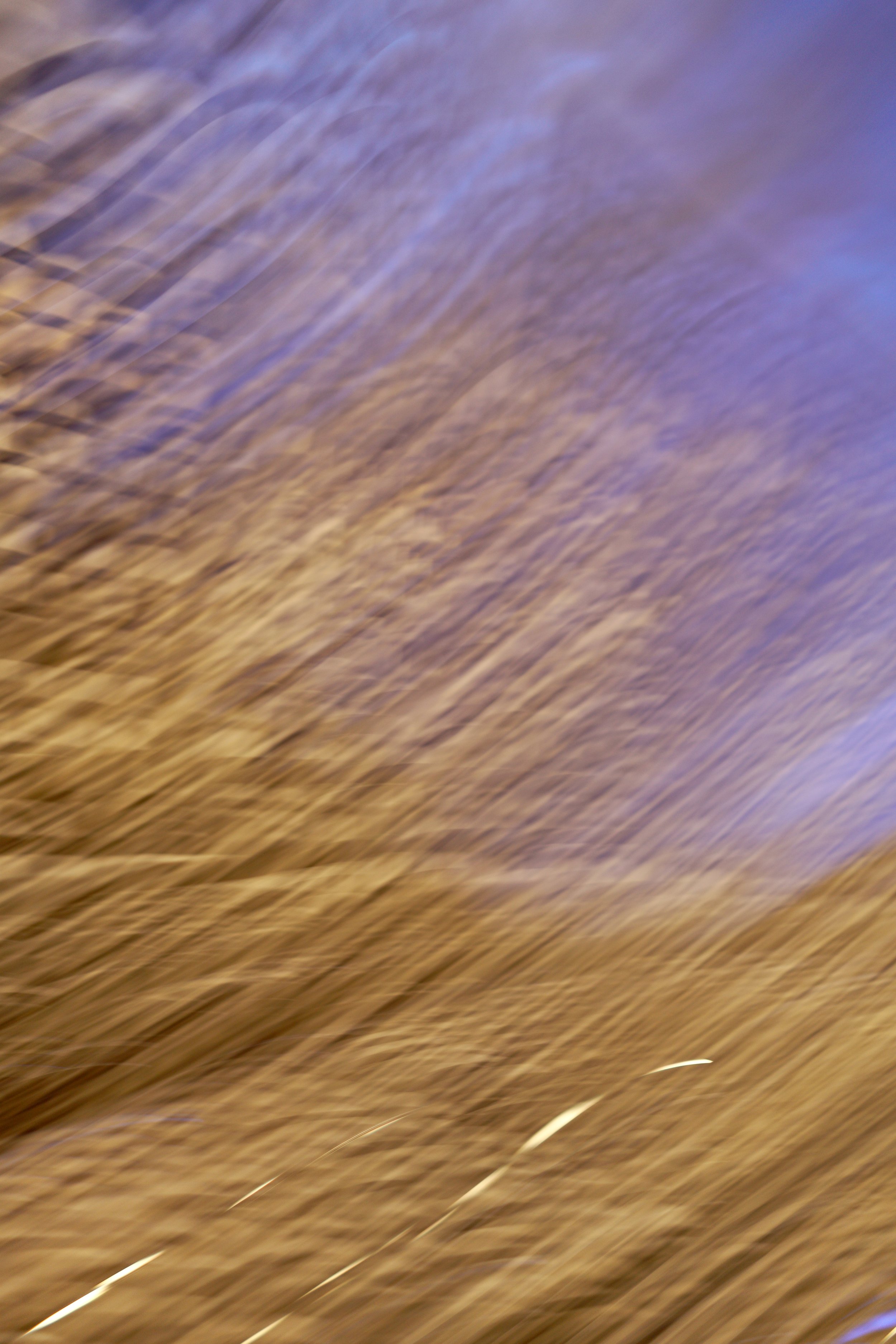  Movement 2023:459 (2023) C-print on wood panel, 60”x40” 