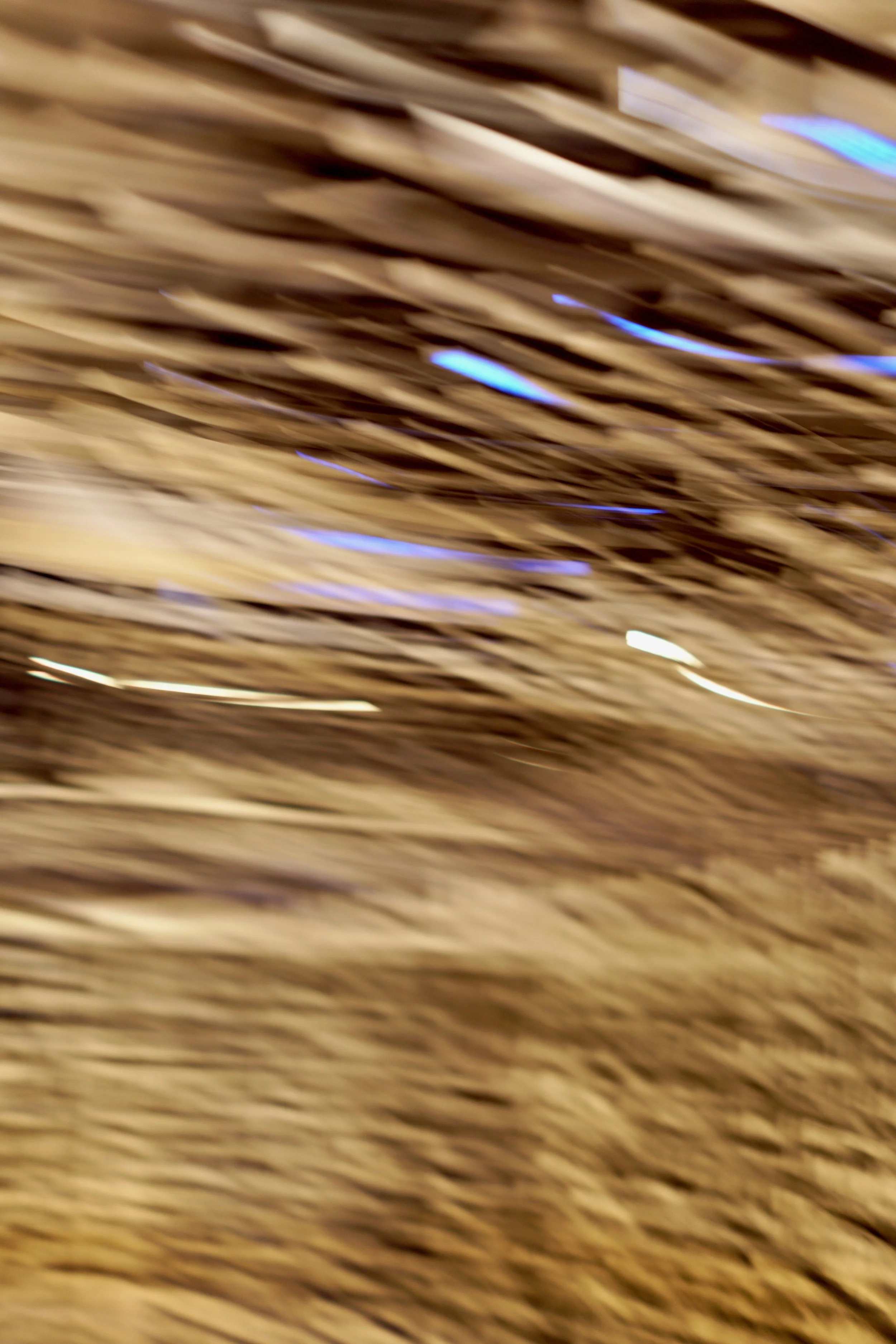  Movement 2023:461 (2023) C-print on wood panel, 60”x40” 