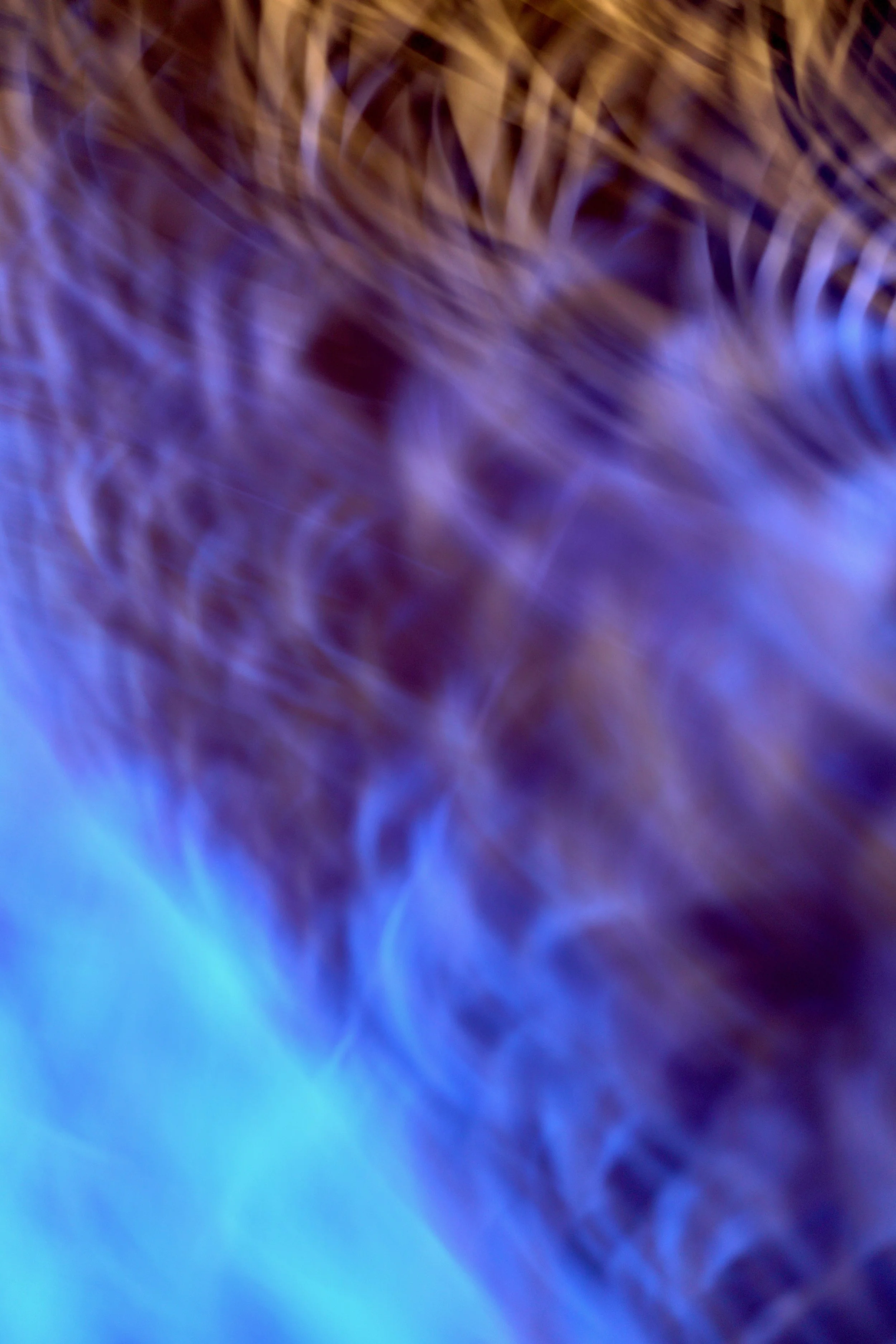  Movement 2023:470 (2023) C-print on wood panel, 60”x40” 