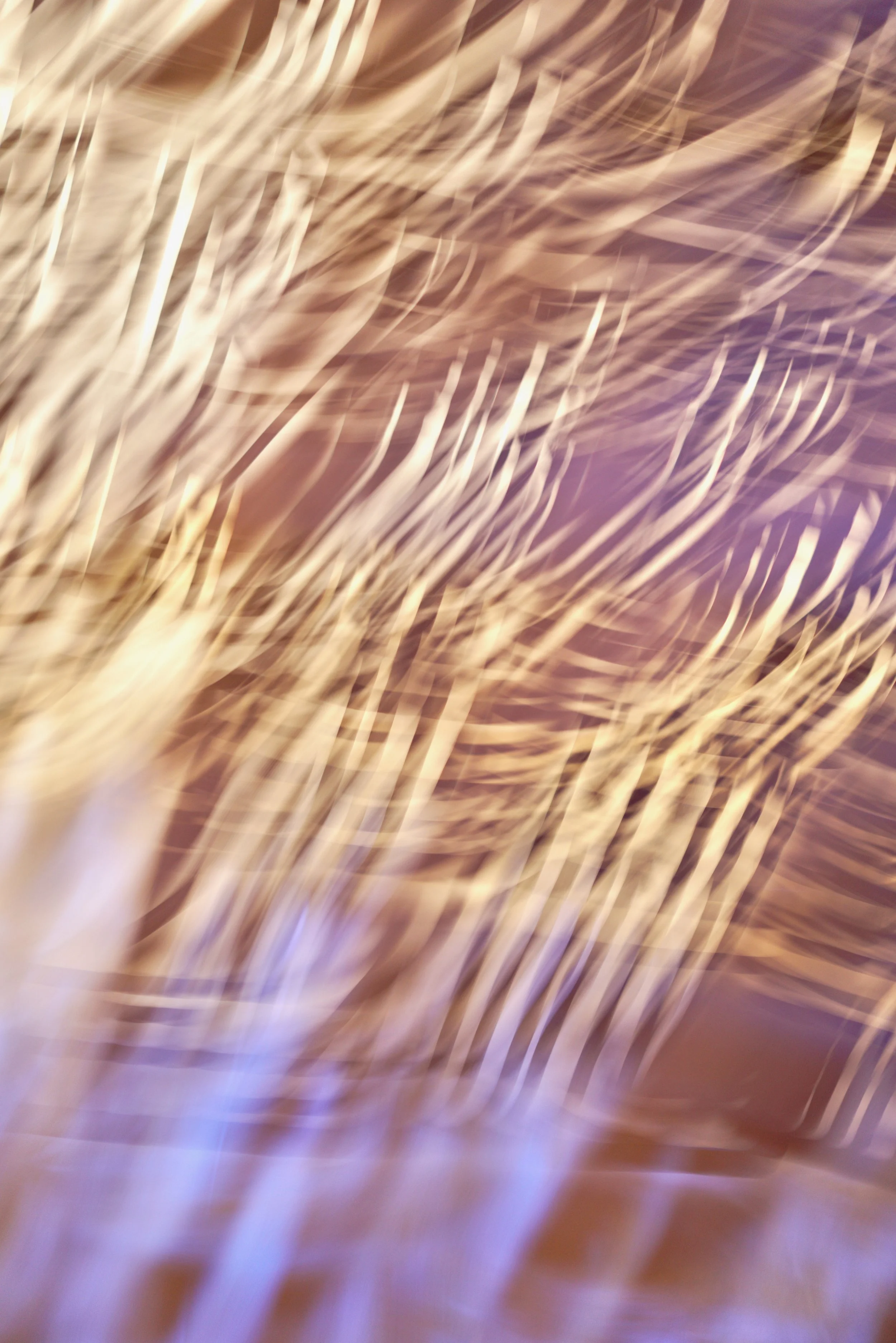  Movement 2023:477 (2023) C-print on wood panel, 60”x40” 