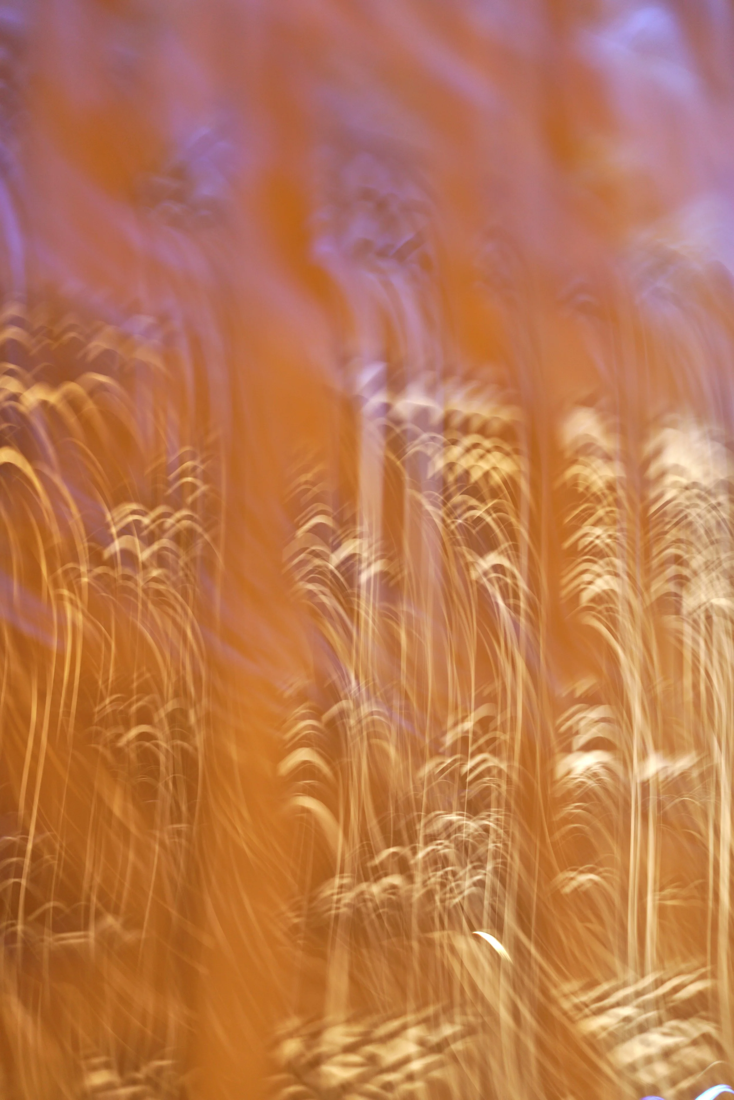  Movement 2023:486 (2023) C-print on wood panel, 60”x40” 