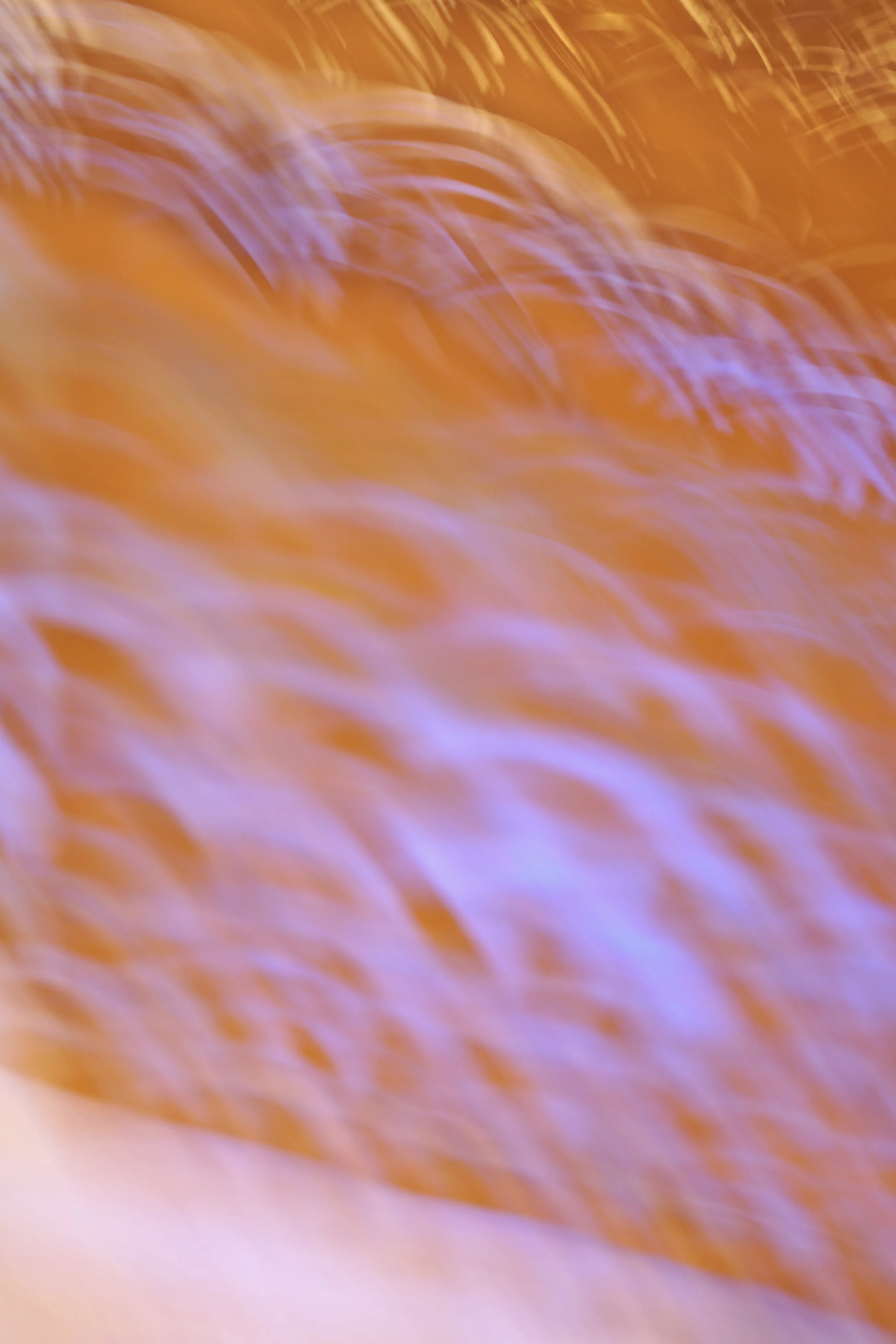  Movement 2023:487 (2023) C-print on wood panel, 60”x40” 