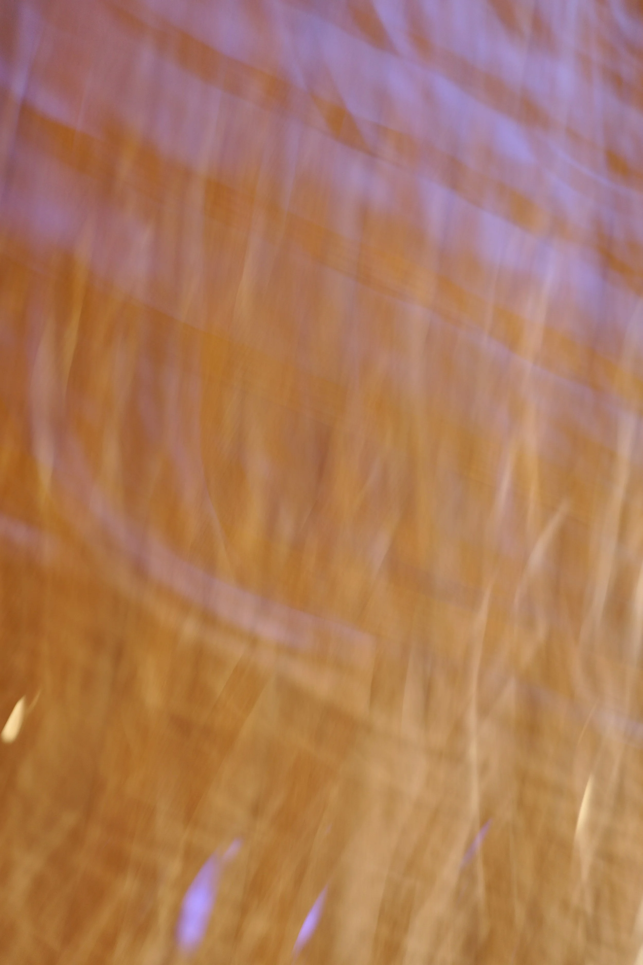  Movement 2023:488 (2023) C-print on wood panel, 60”x40” 