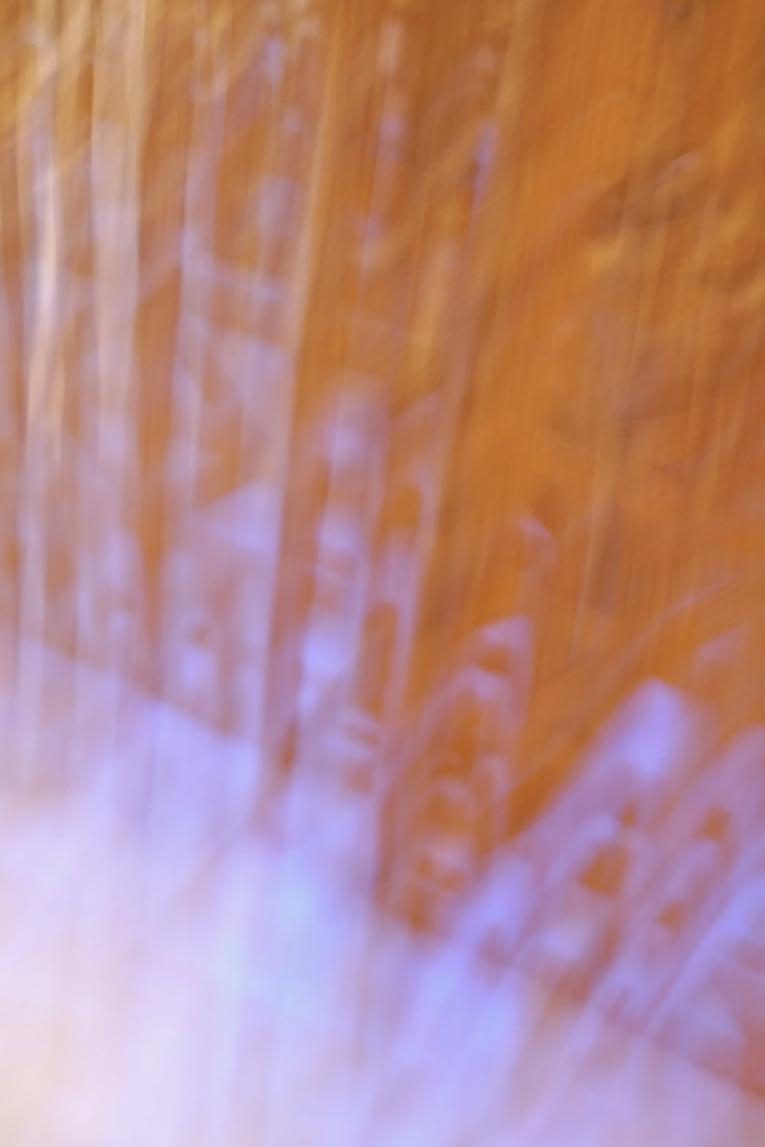  Movement 2023:489 (2023) C-print on wood panel, 60”x40” 