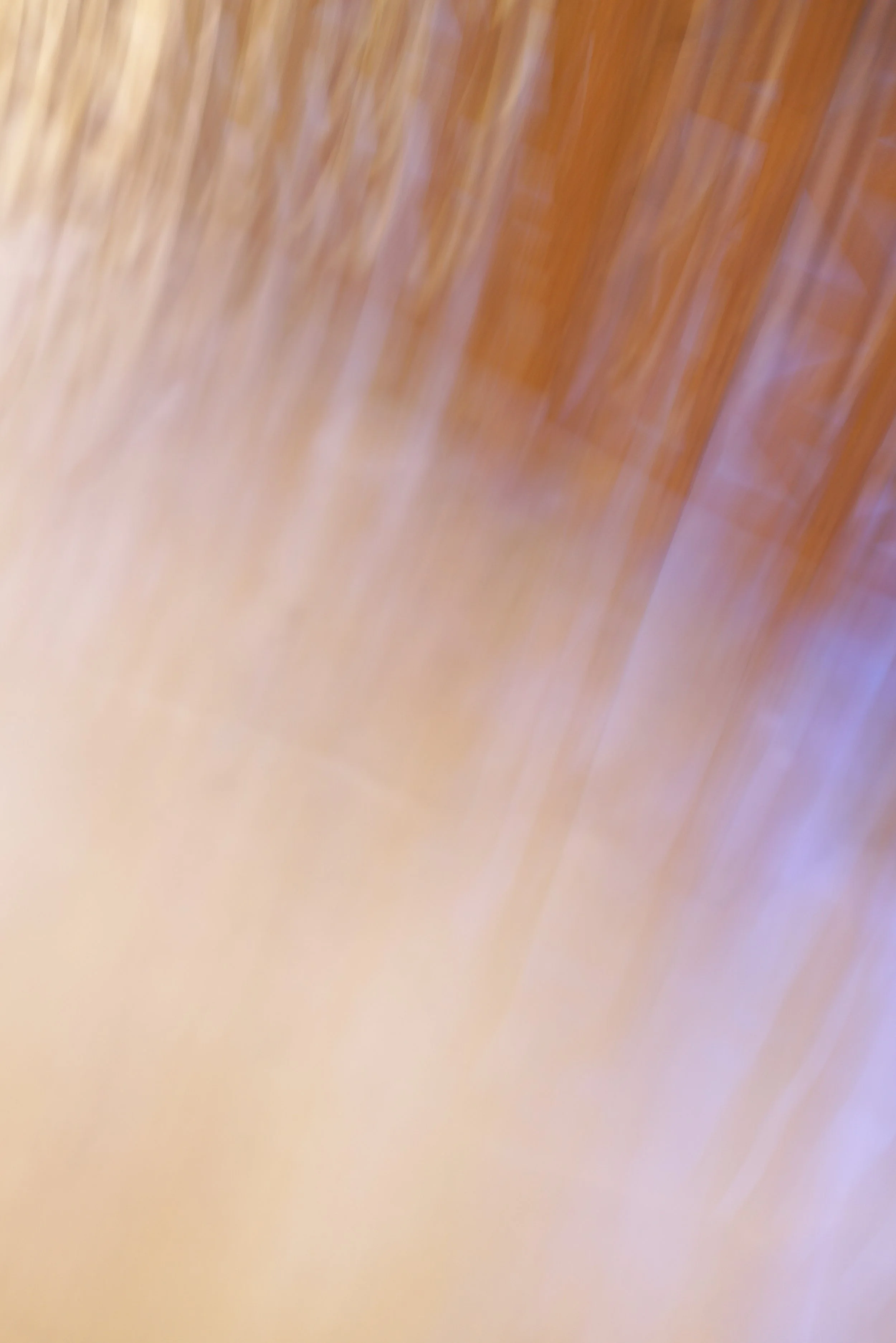  Movement 2023:490 (2023) C-print on wood panel, 60”x40” 