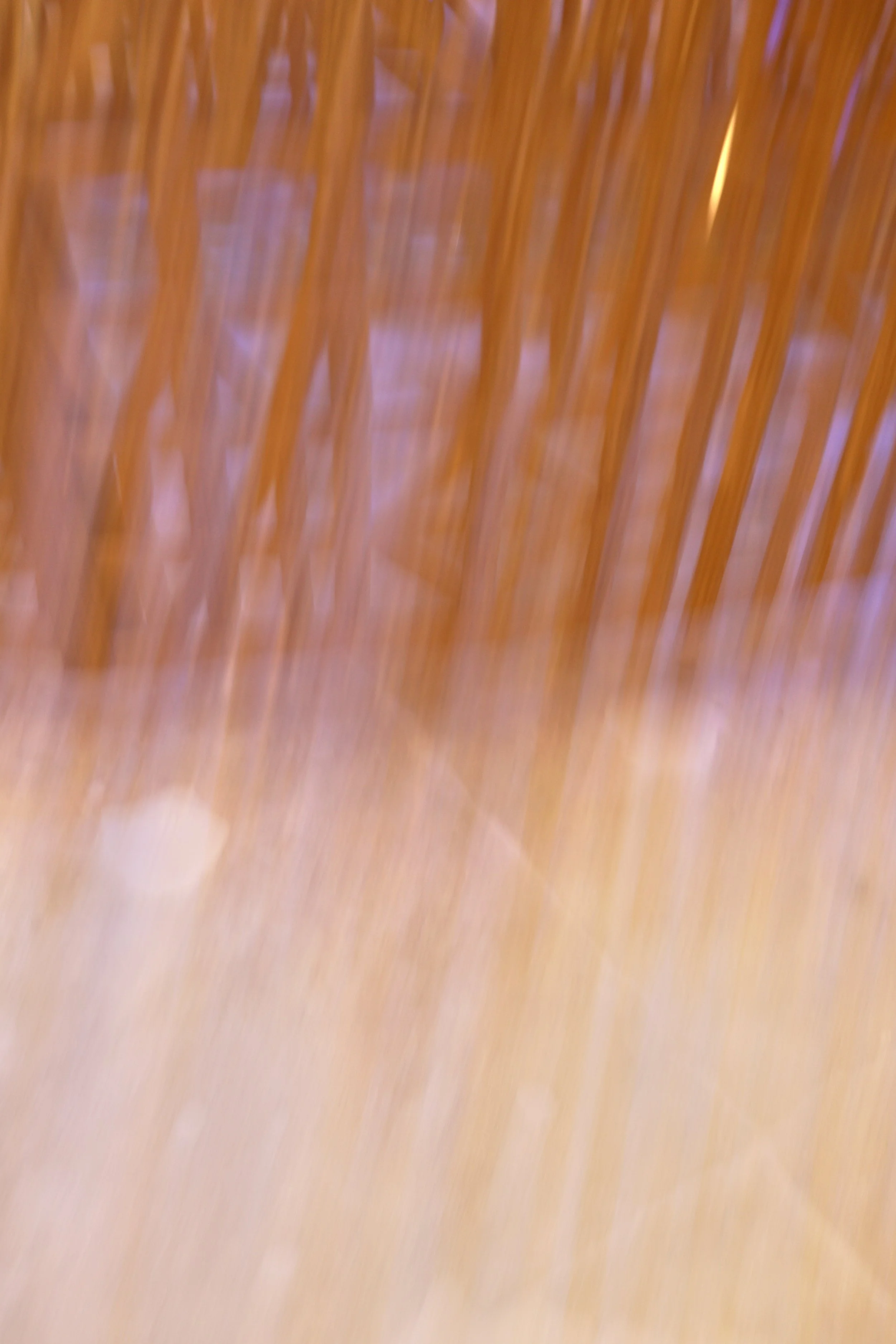  Movement 2023:494 (2023) C-print on wood panel, 60”x40” 