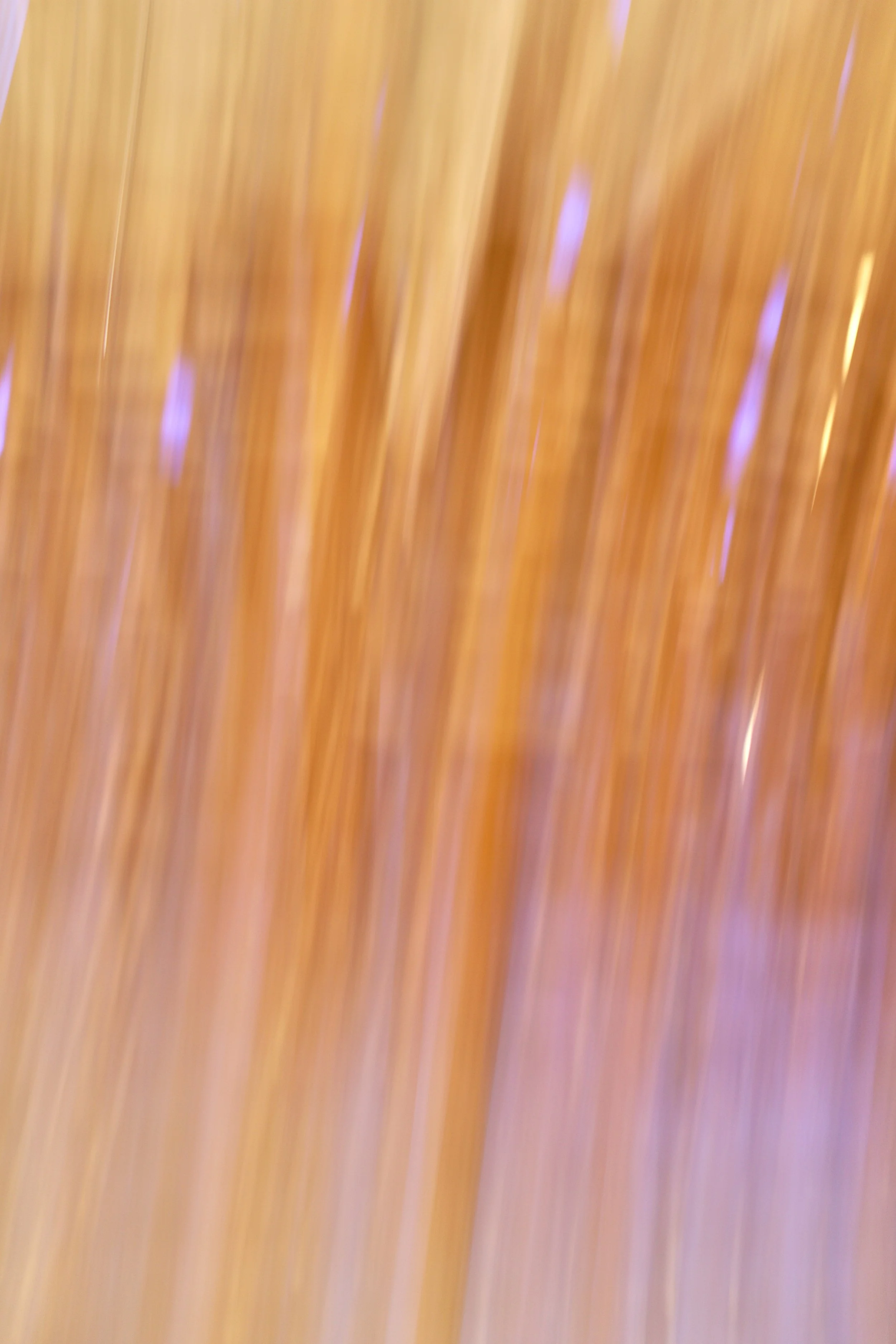  Movement 2023:493 (2023) C-print on wood panel, 60”x40” 