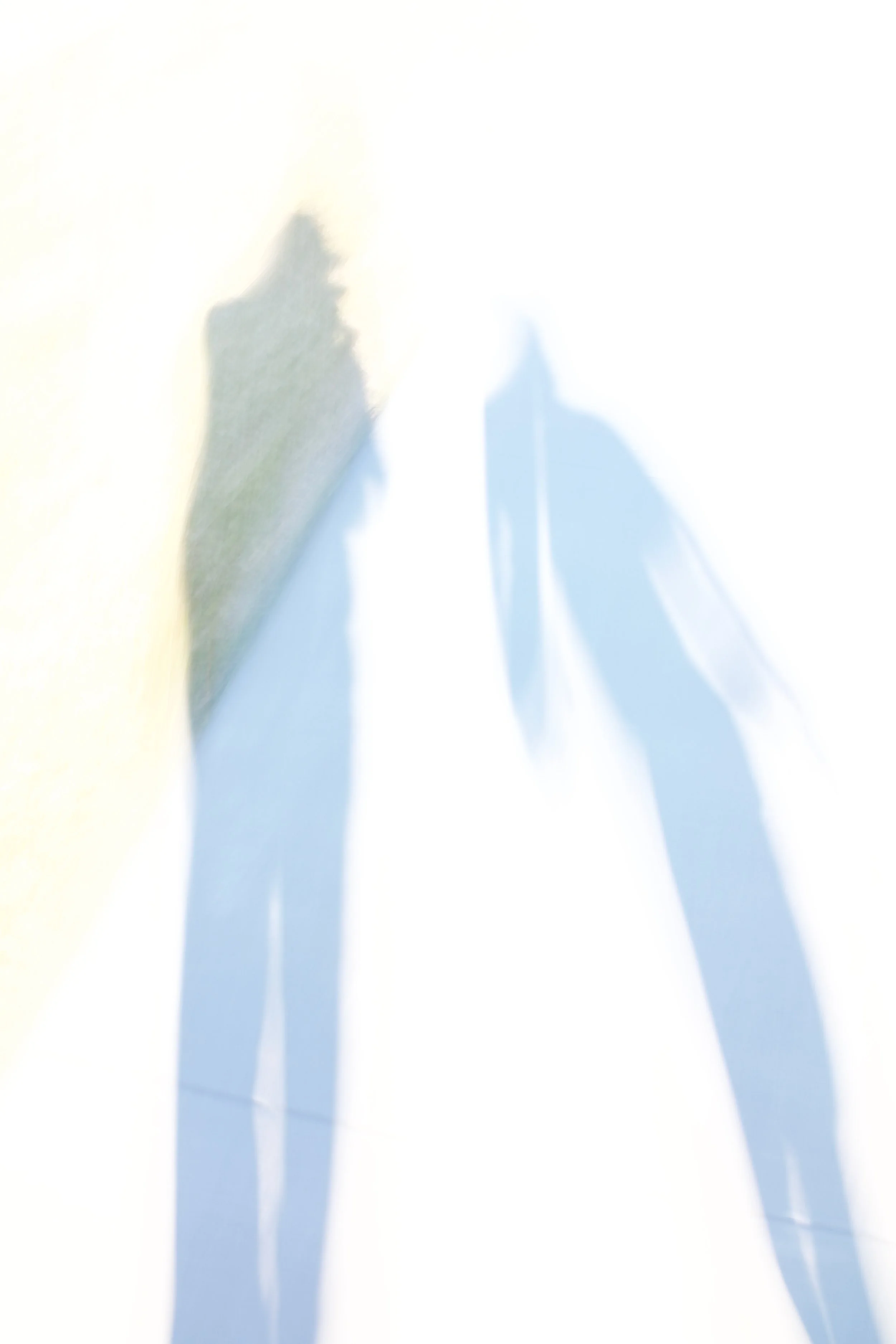  Figures 2023:1 (2023) C-print on wood panel, 60”x40” 