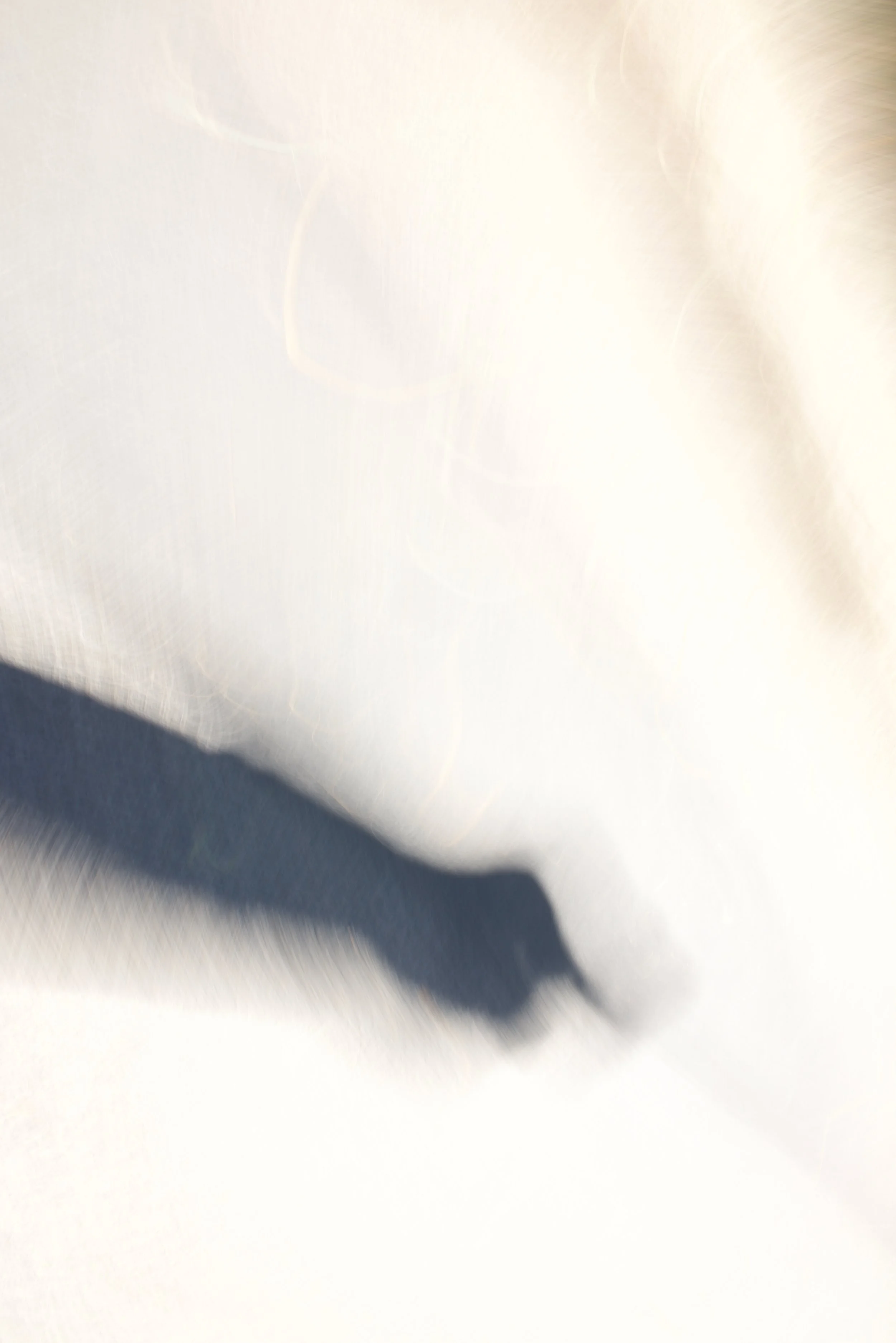  Figures 2023:14 (2023) C-print on wood panel, 60”x40” 