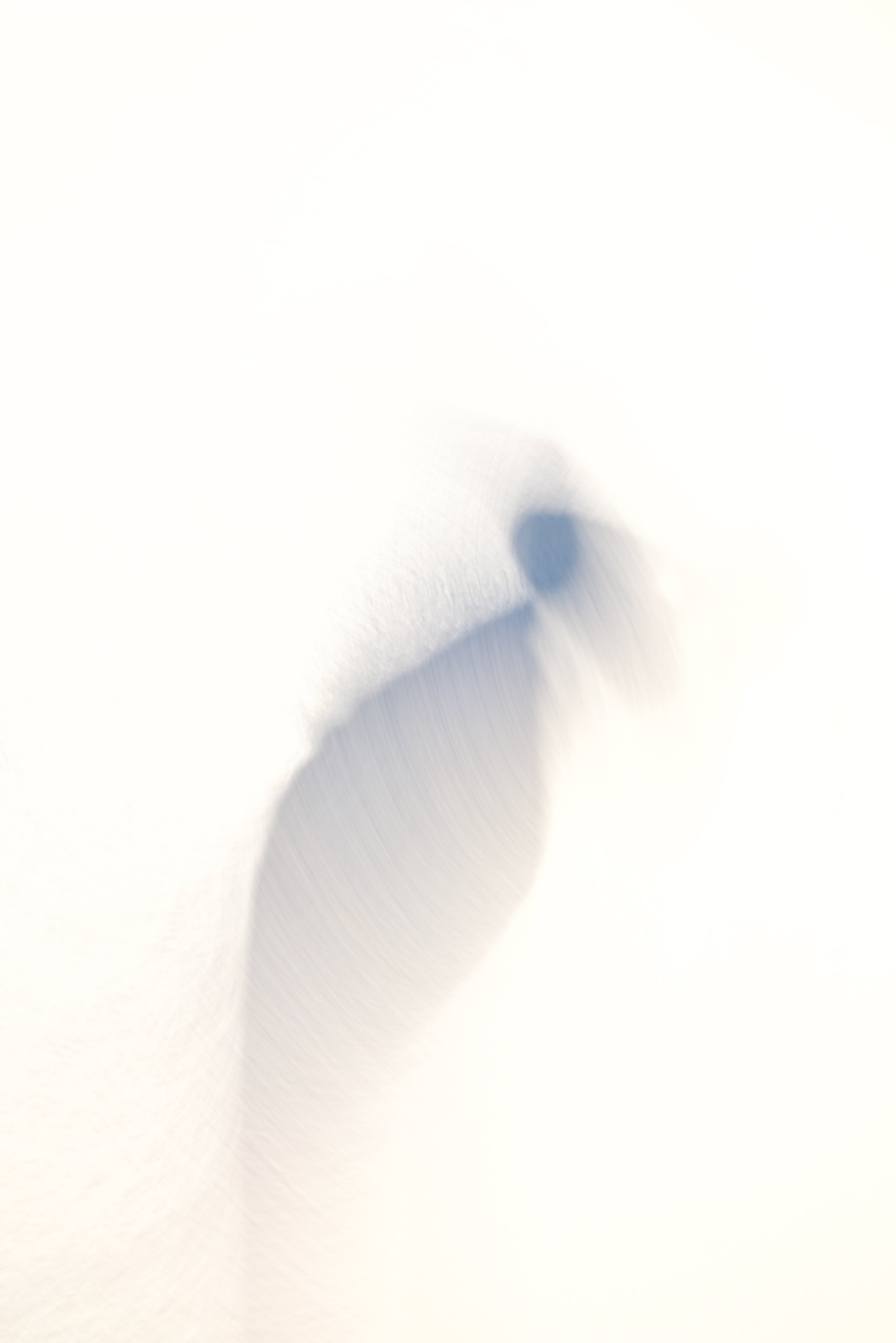  Figures 2023:22 (2023) C-print on wood panel, 60”x40” 