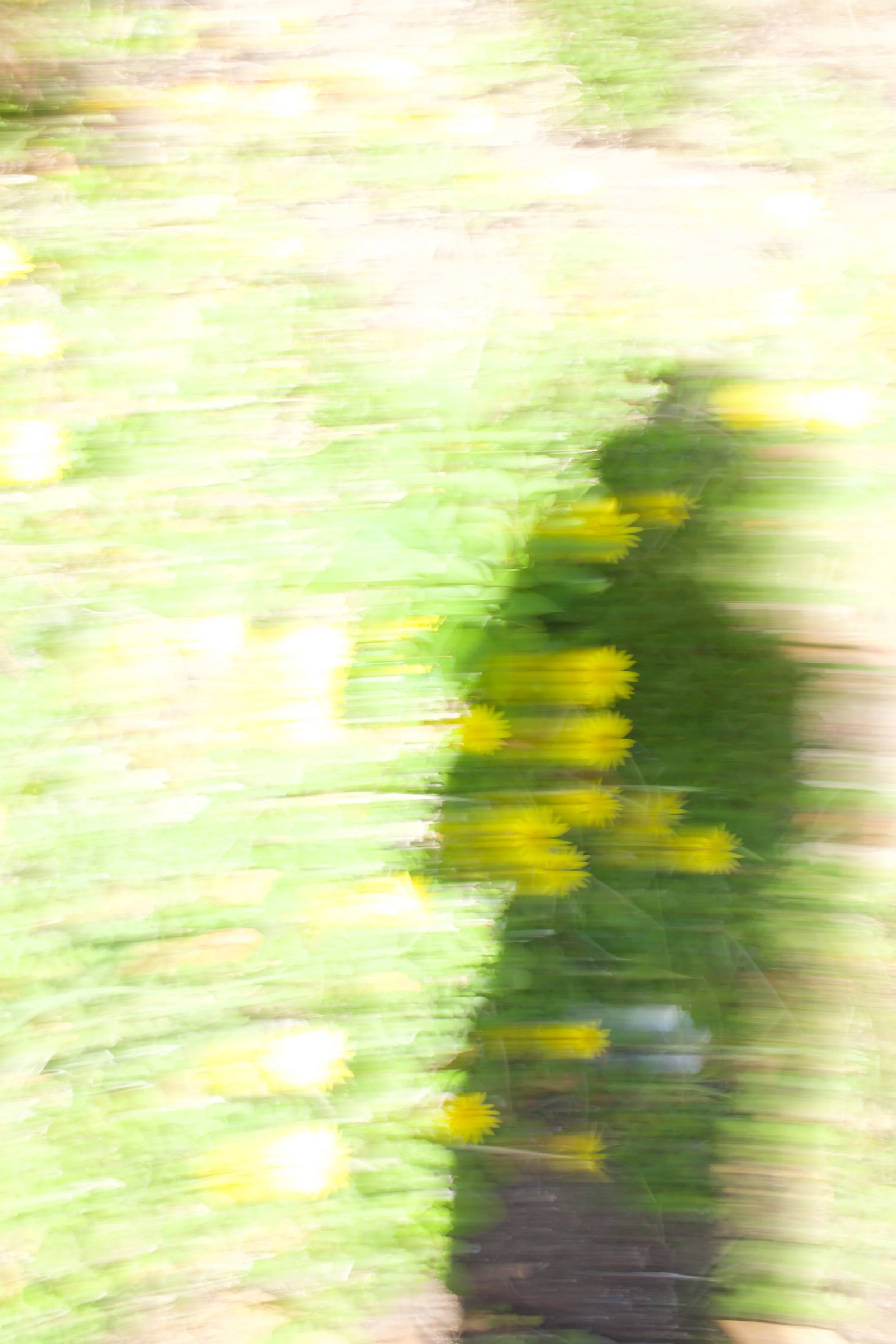  Figures 2023:28 (2023) C-print on wood panel, 60”x40” 