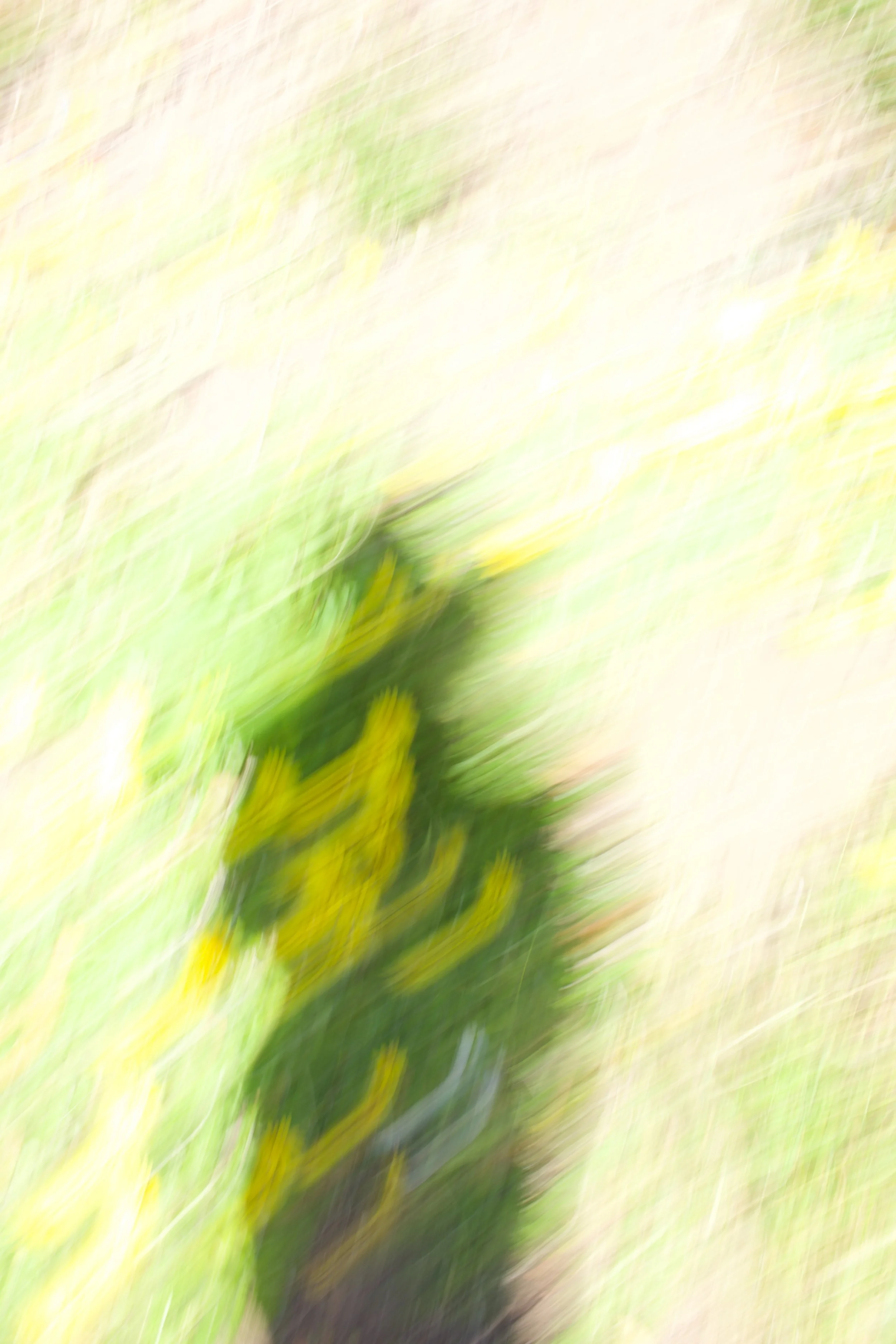  Figures 2023:29 (2023) C-print on wood panel, 60”x40” 