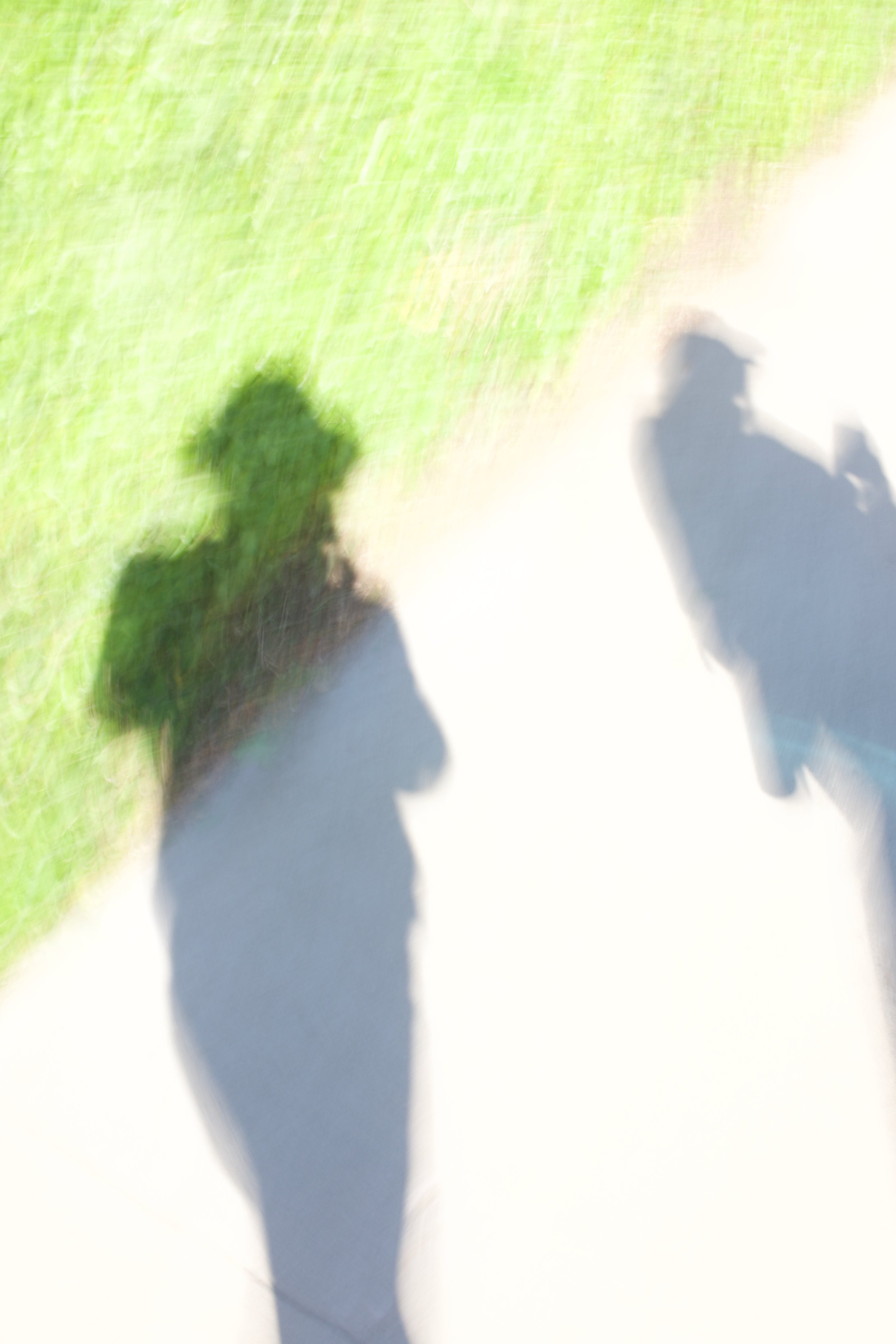  Figures 2023:31 (2023) C-print on wood panel, 60”x40” 