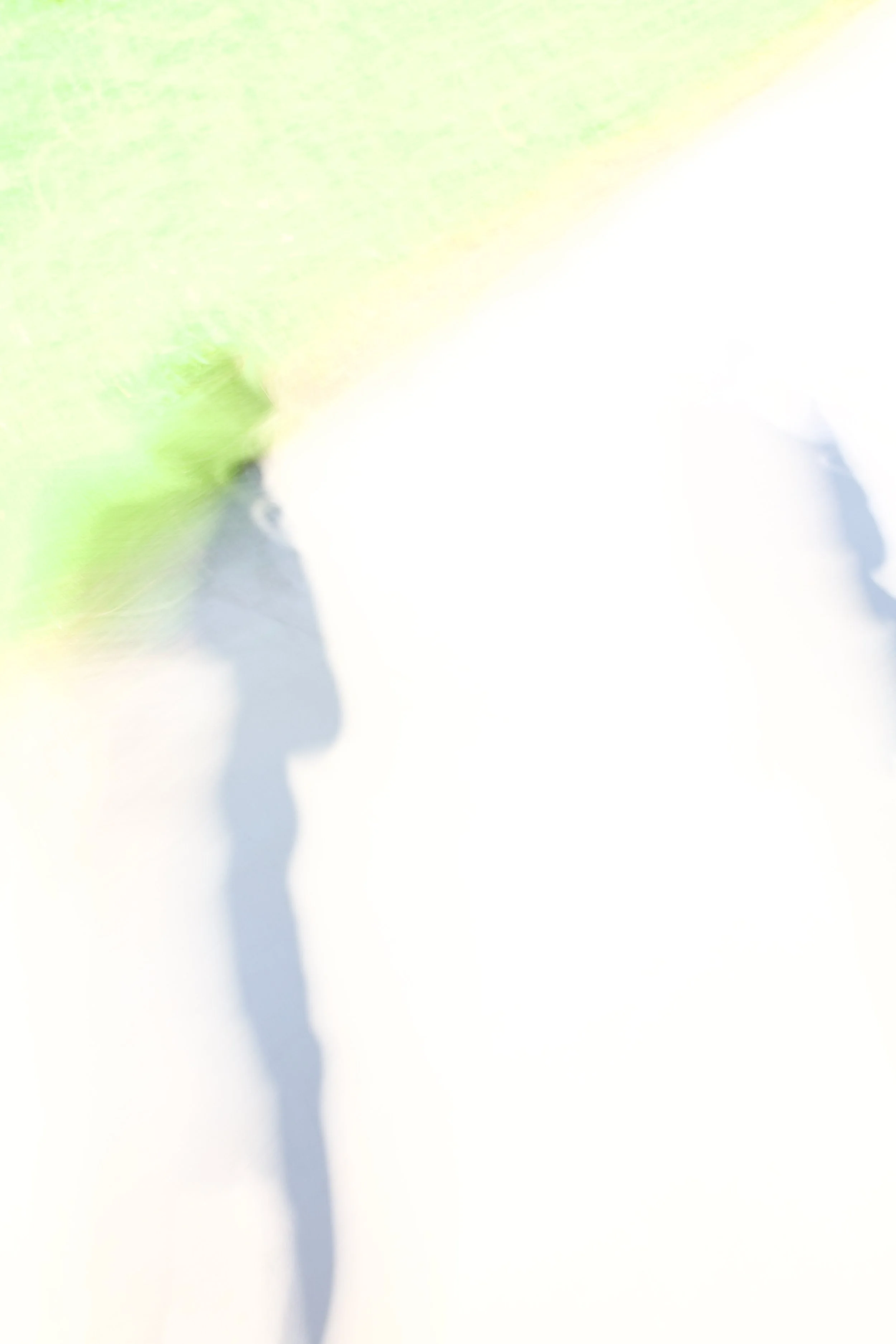  Figures 2023:33 (2023) C-print on wood panel, 60”x40” 