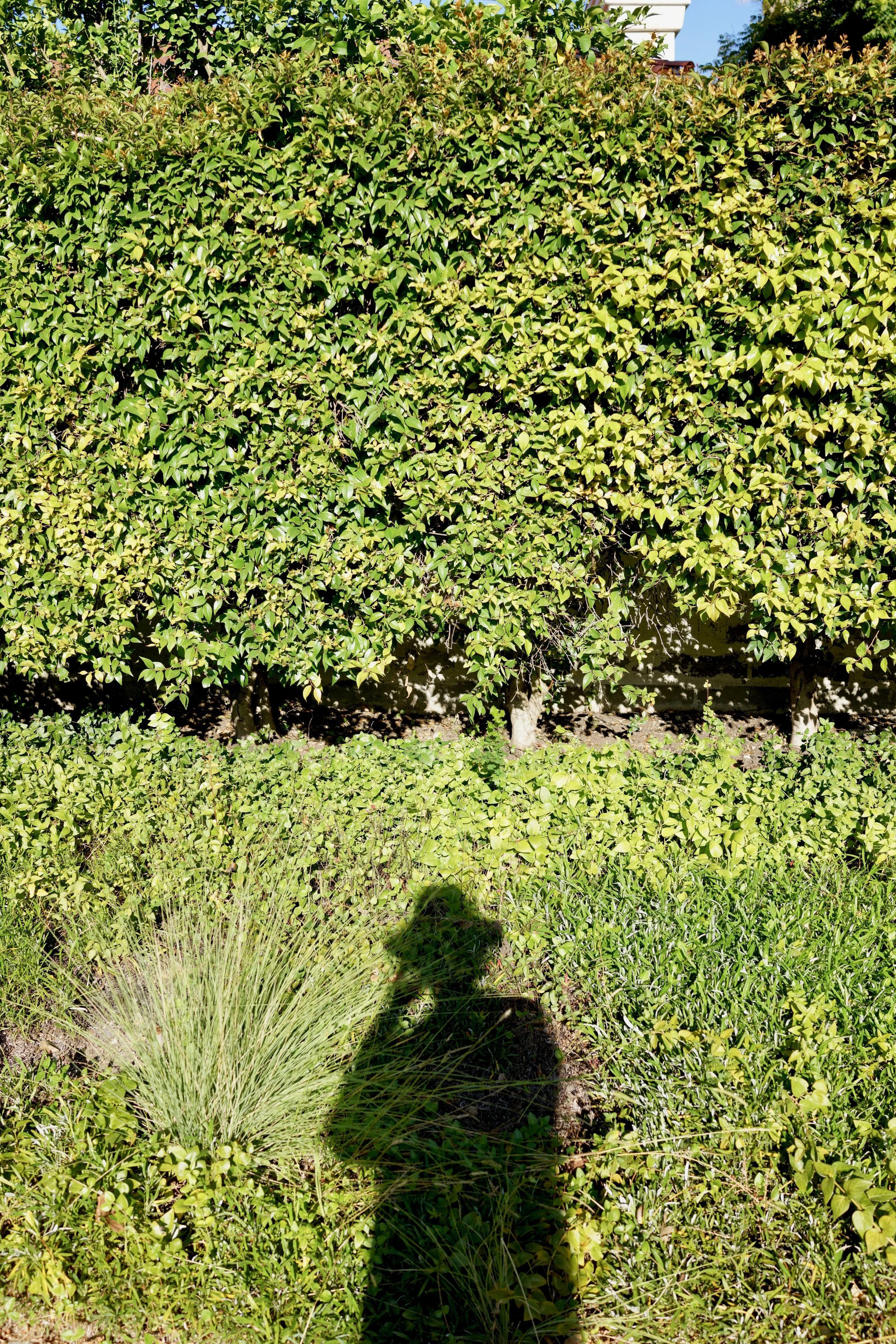  Figures 2023:39 (2023) C-print on wood panel, 60”x40” 