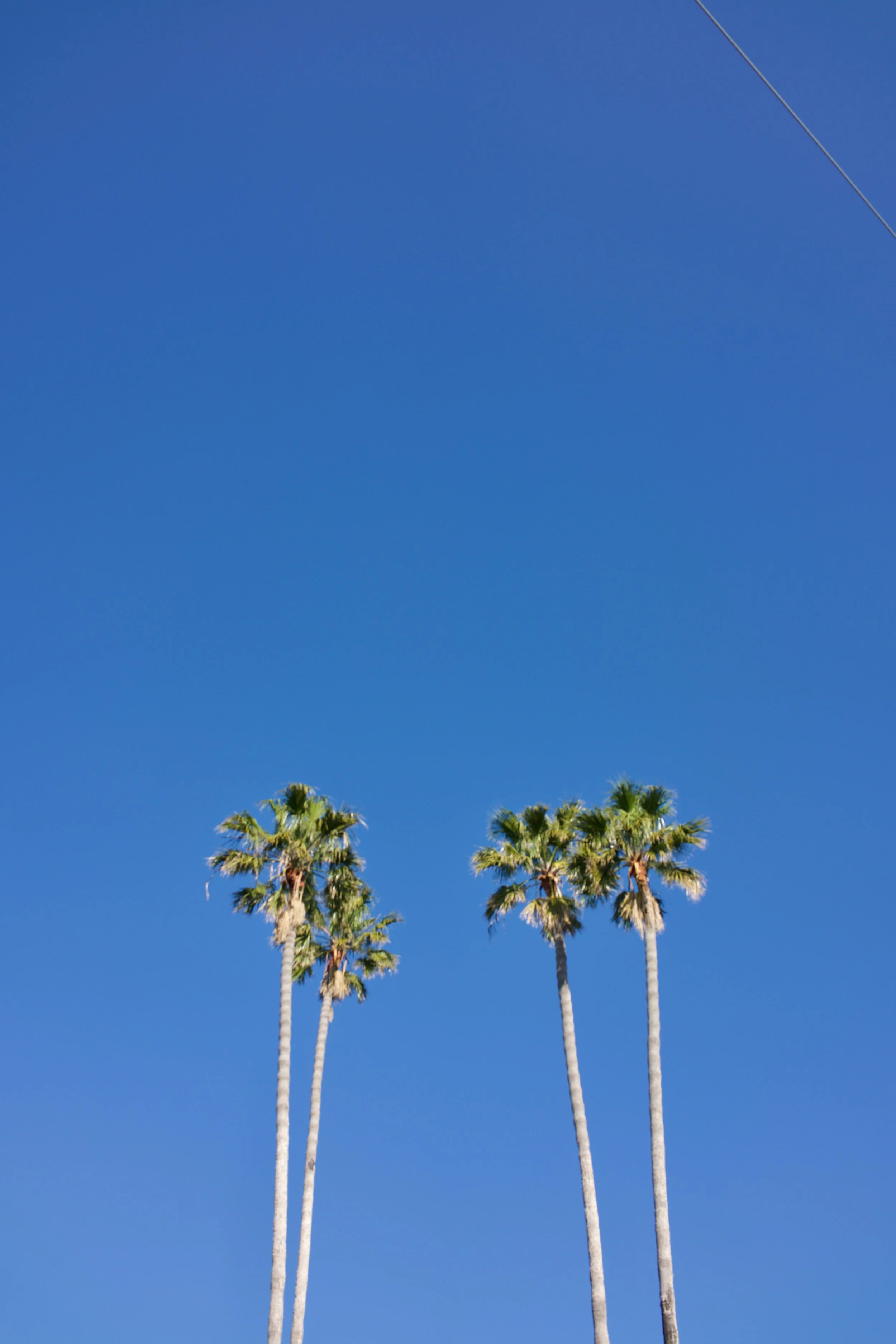  Clusters 2023:13 (2023) C-print on wood panel, 60”x40” 