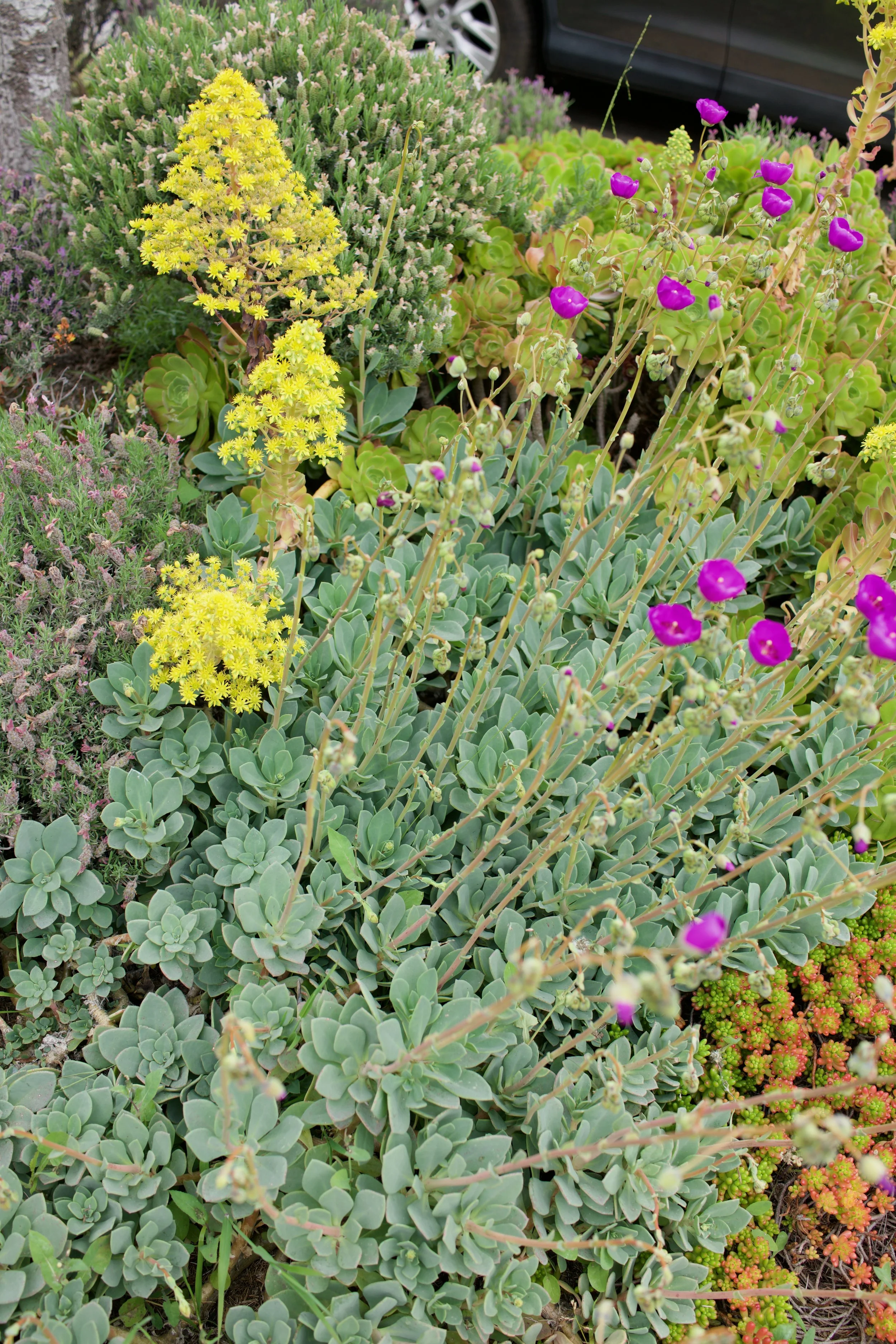  Clusters 2023:18 (2023) C-print on wood panel, 60”x40” 