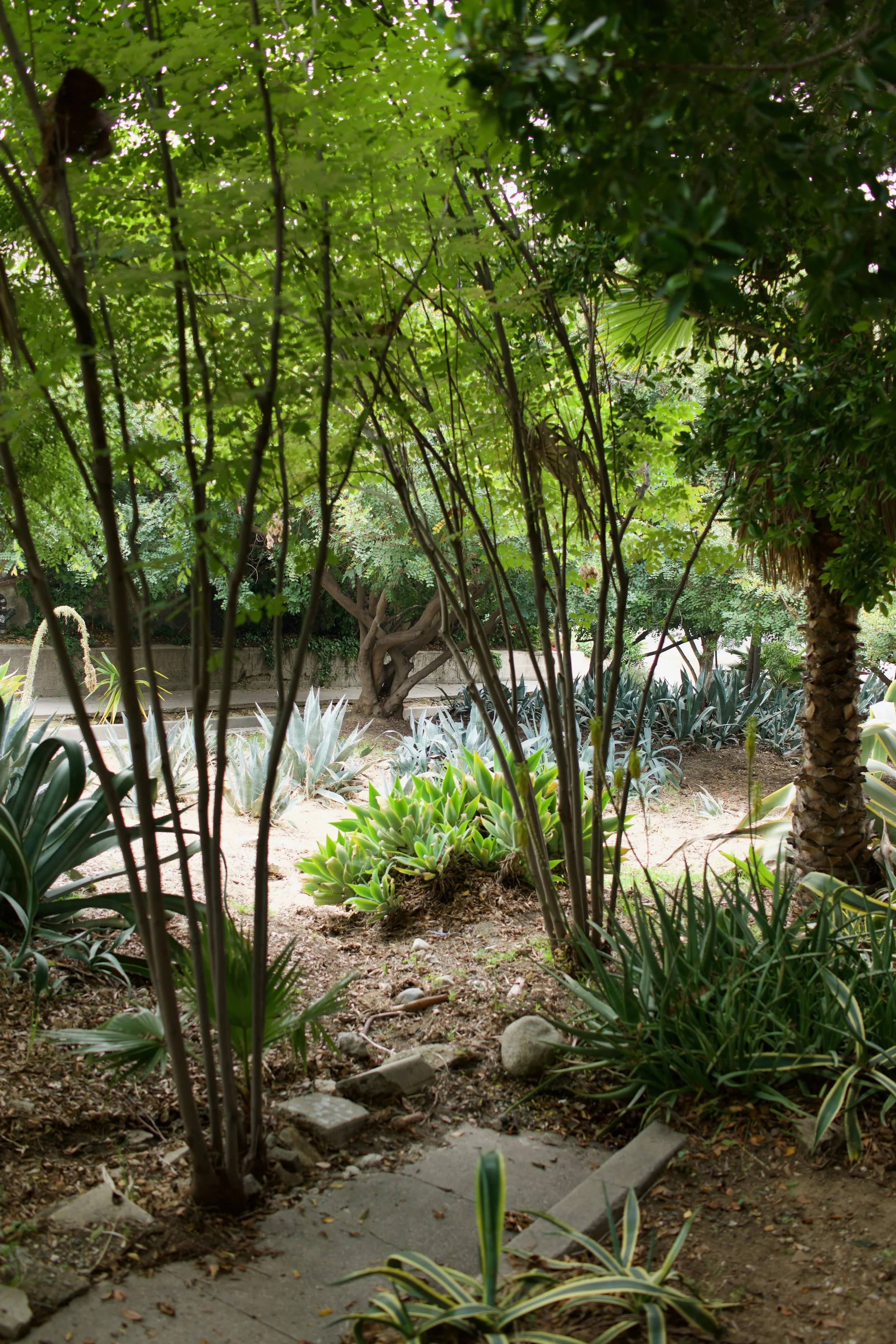  Clusters 2023:25 (2023) C-print on wood panel, 60”x40” 