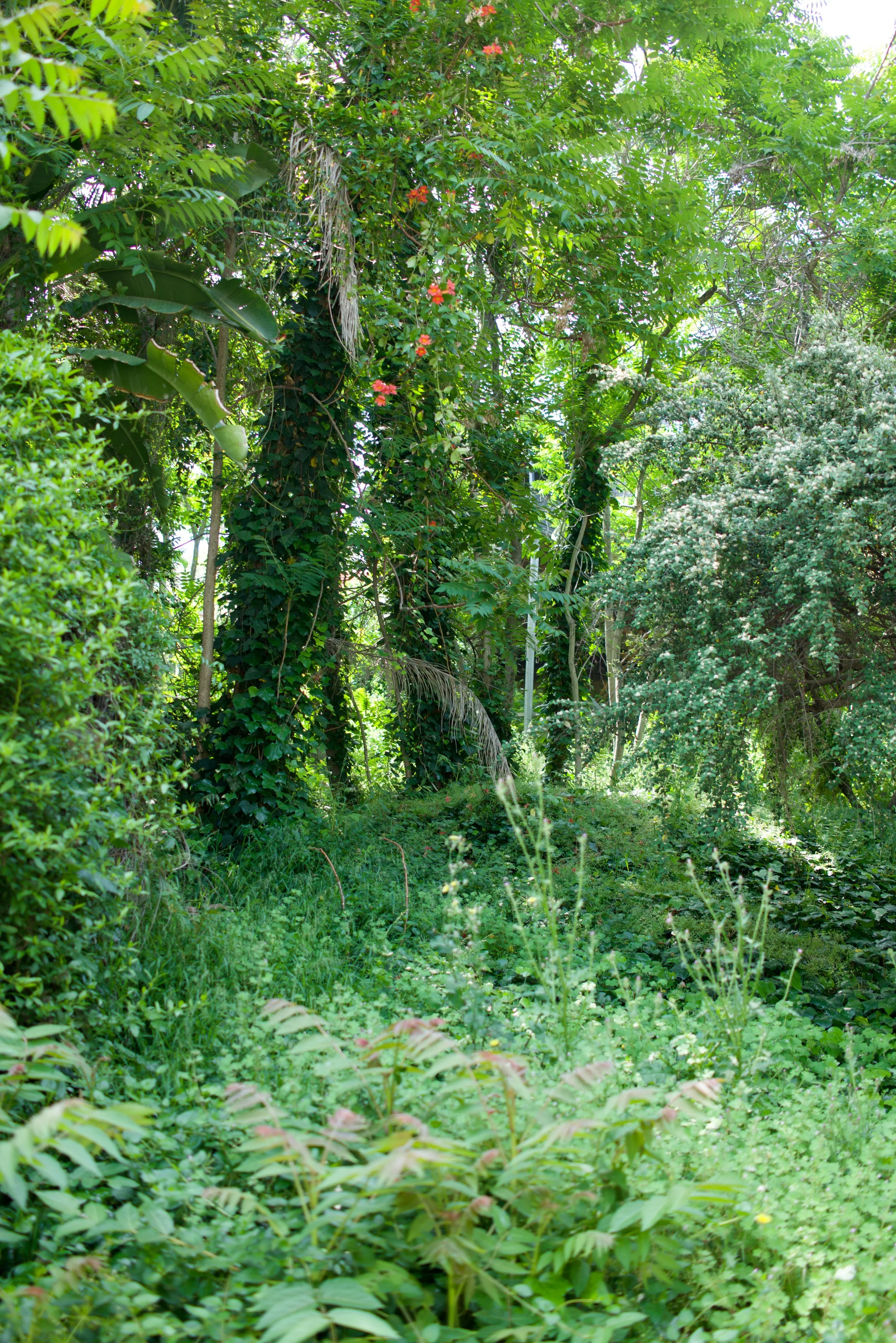  Clusters 2023:26 (2023) C-print on wood panel, 60”x40” 