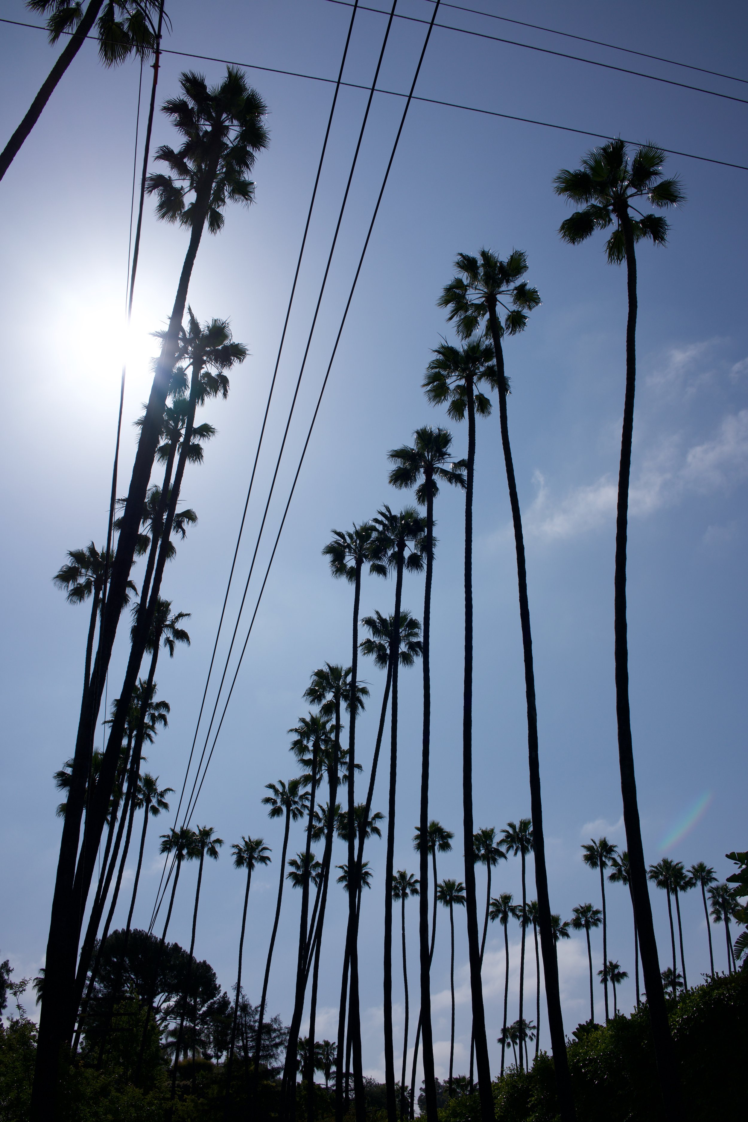  Clusters 2023:28 (2023) C-print on wood panel, 60”x40” 