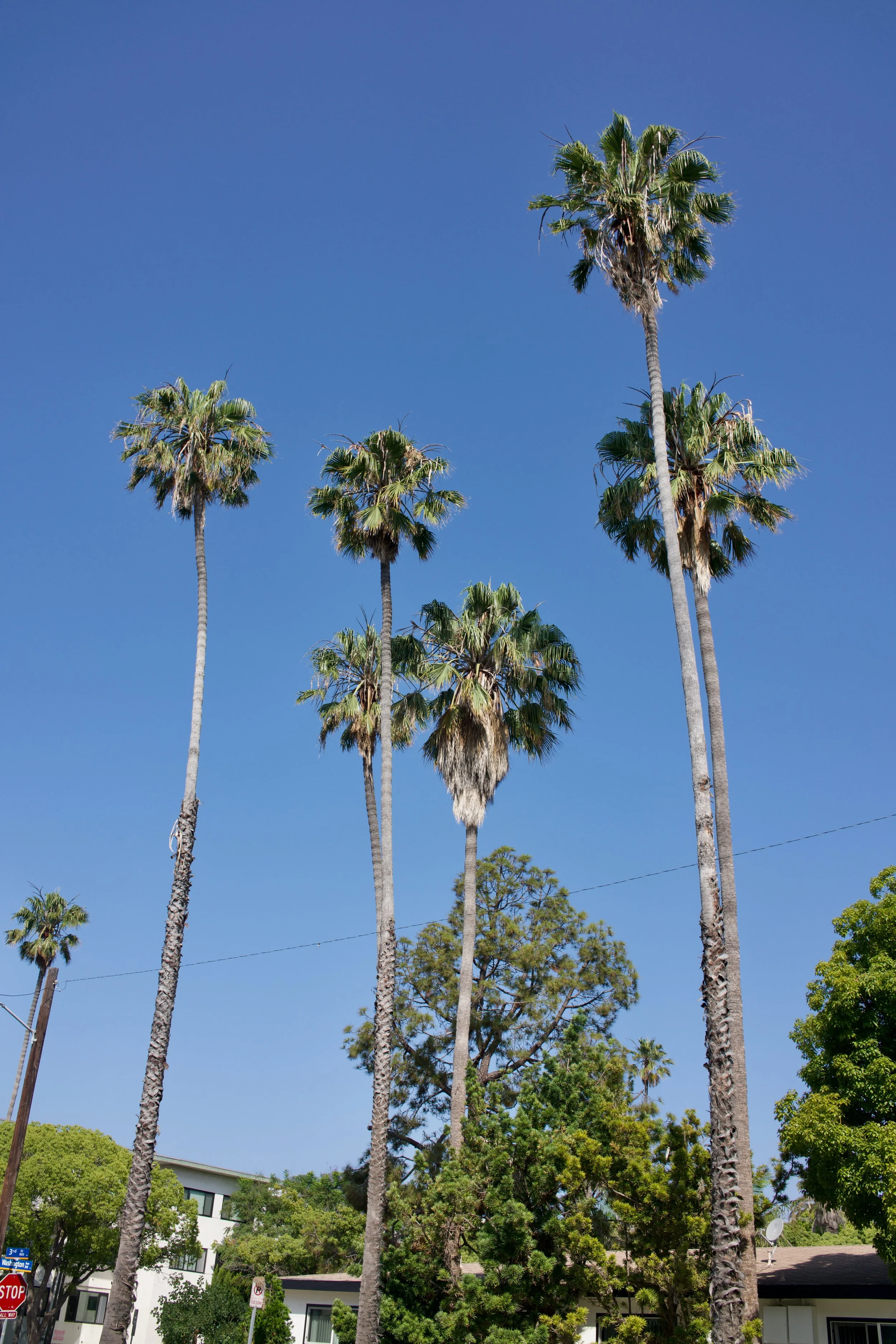  Clusters 2023:30 (2023) C-print on wood panel, 60”x40” 