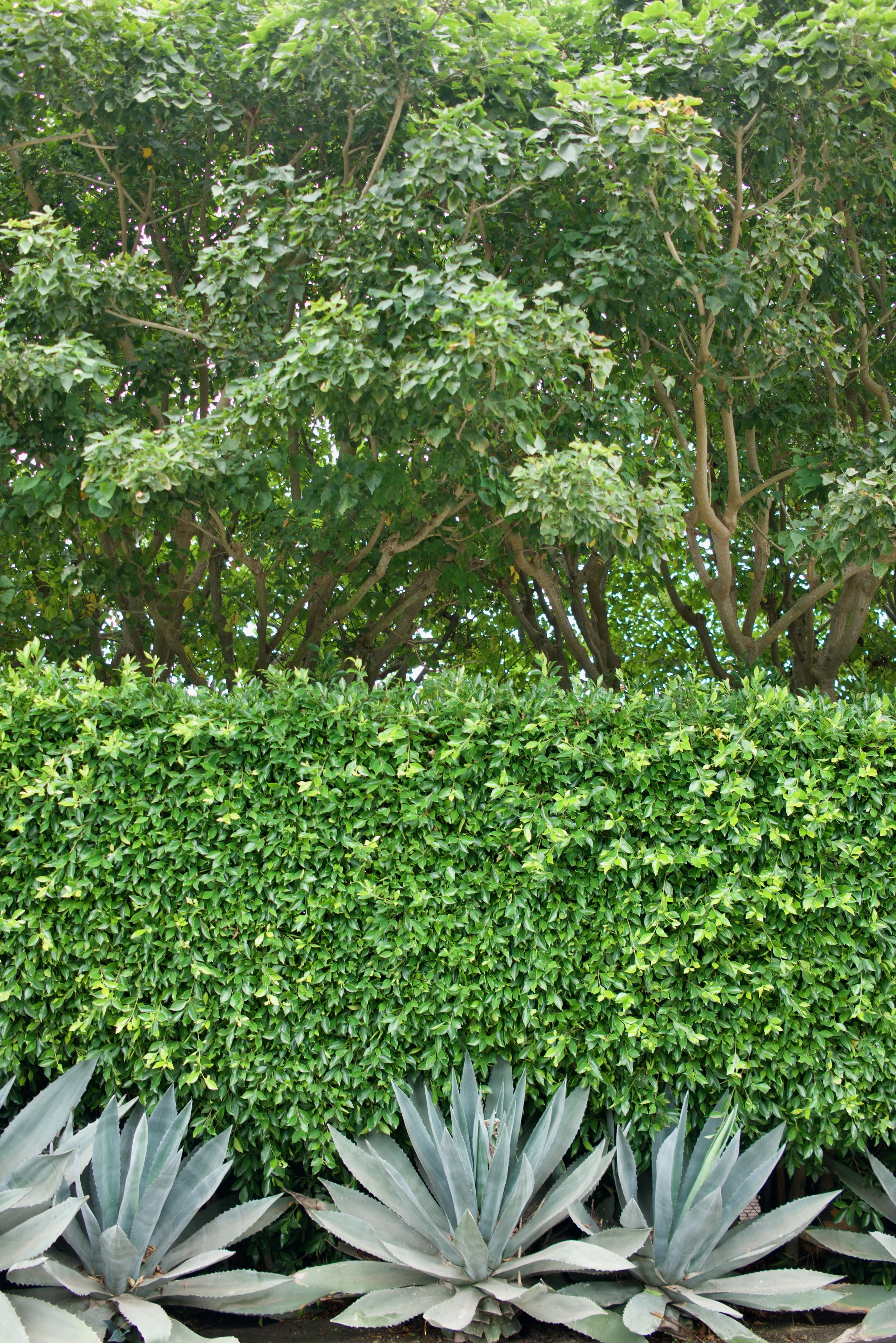  Clusters 2023:32 (2023) C-print on wood panel, 60”x40” 