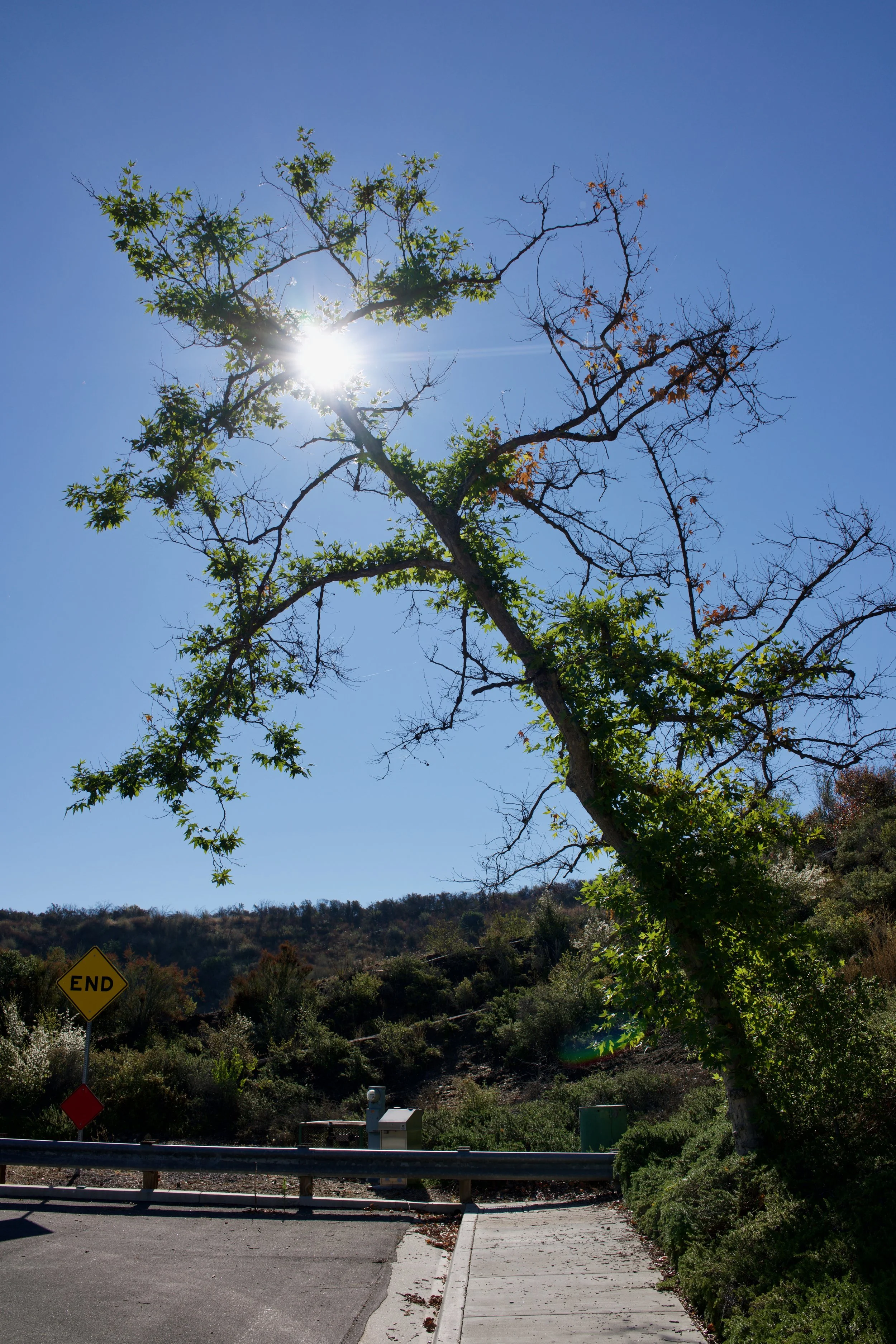  Clusters 2023:41 (2023) C-print on wood panel, 60”x40” 