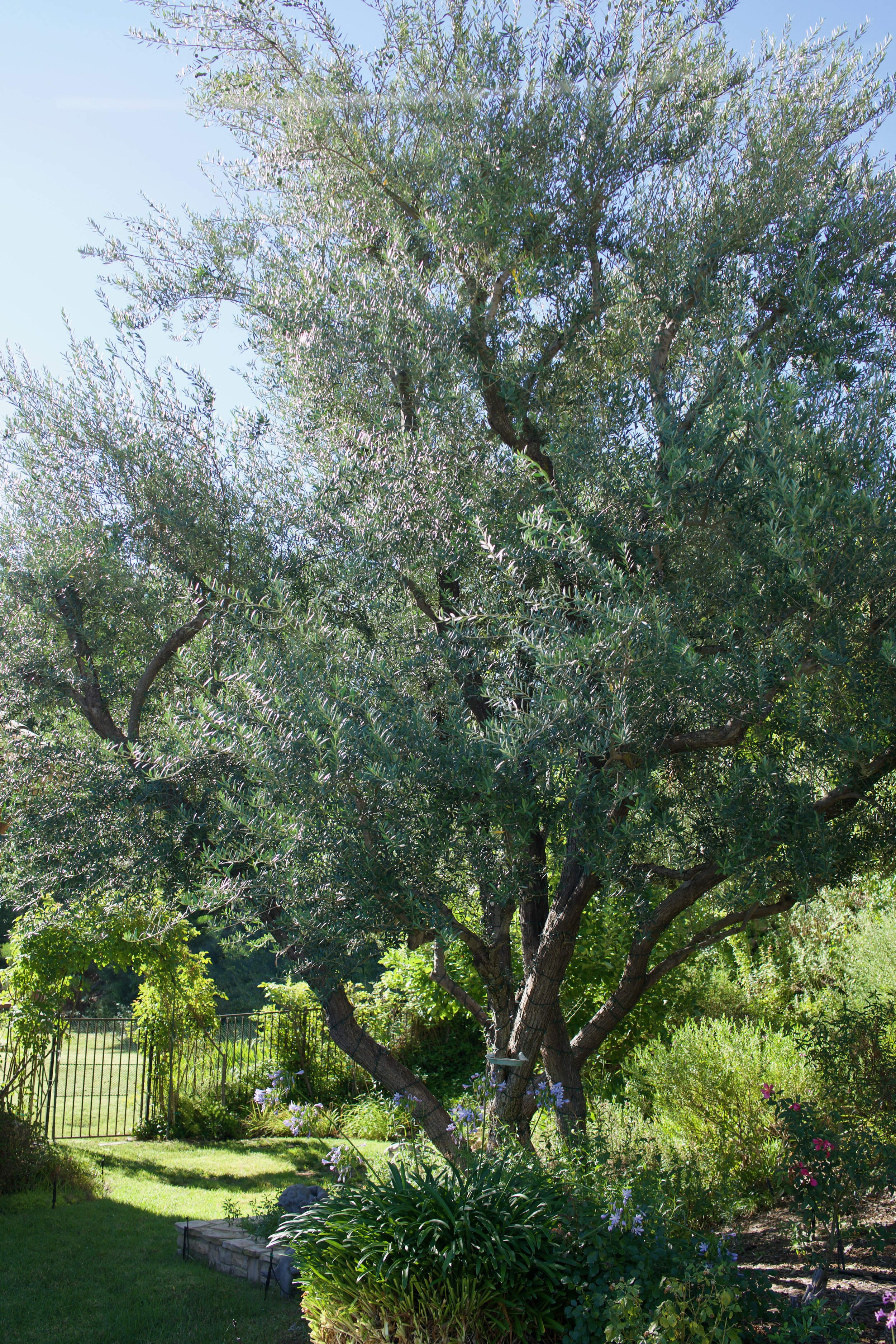  Clusters 2023:40 (2023) C-print on wood panel, 60”x40” 