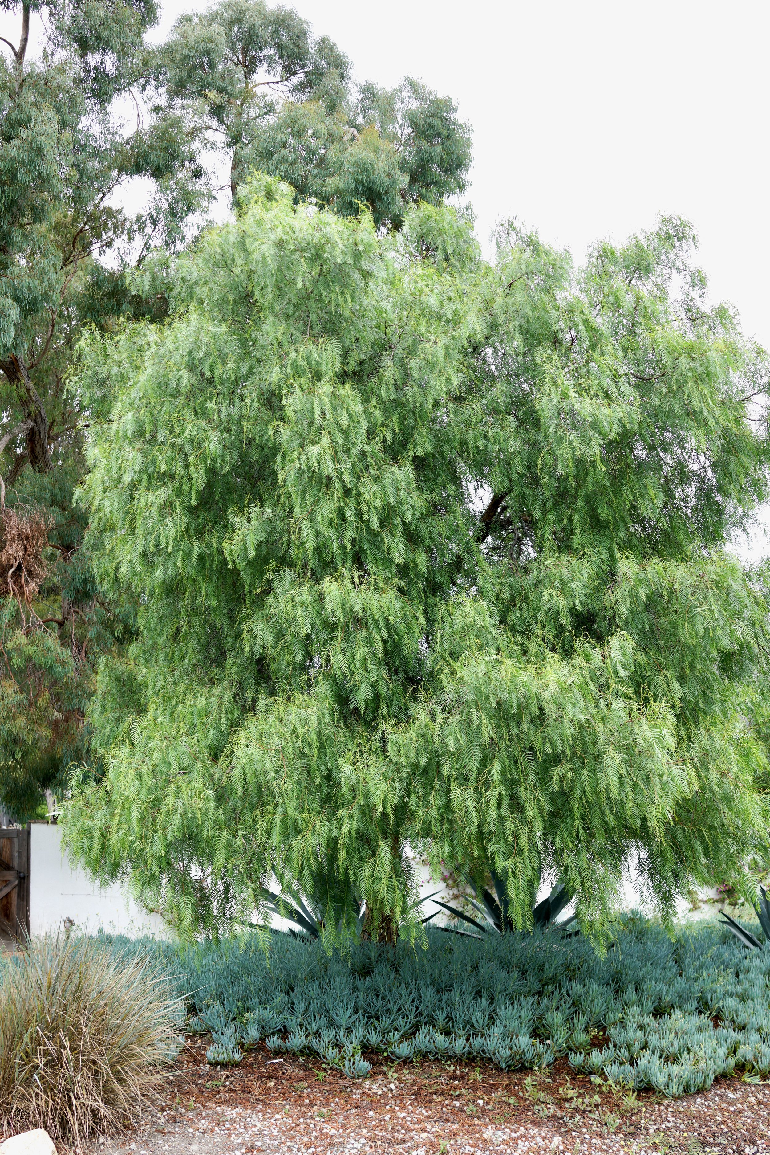  Clusters 2023:45 (2023) C-print on wood panel, 60”x40” 