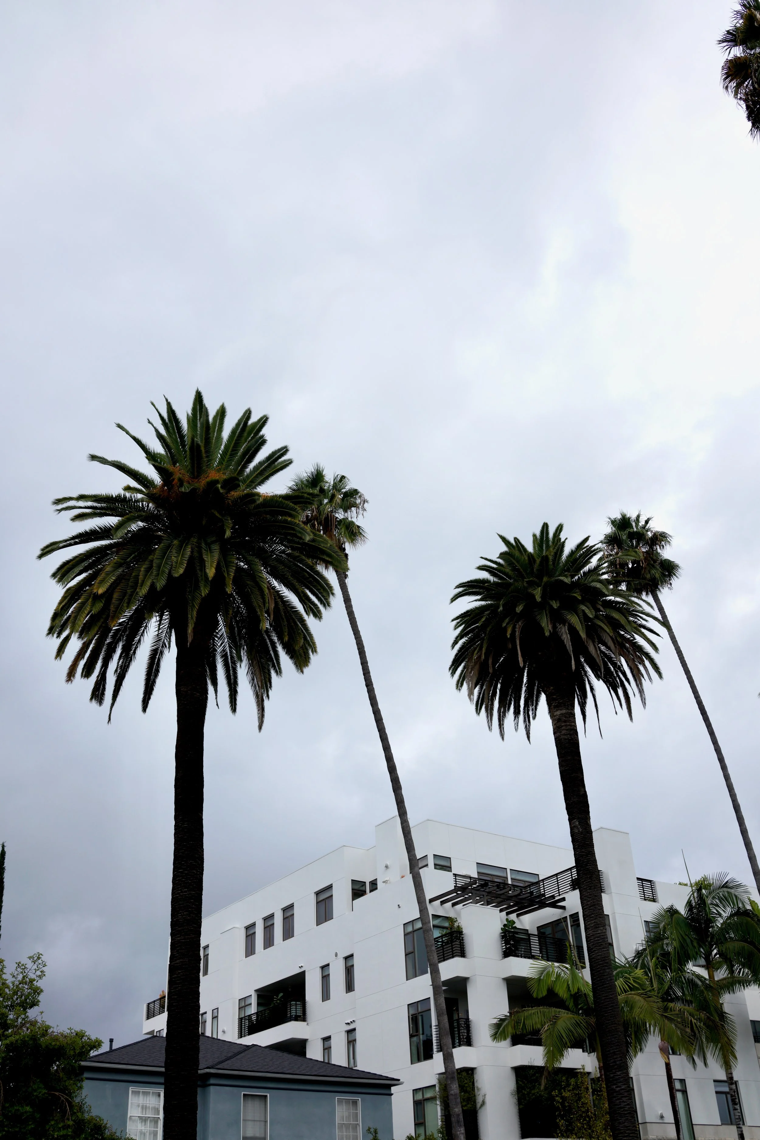  Clusters 2023:49 (2023) C-print on wood panel, 60”x40” 