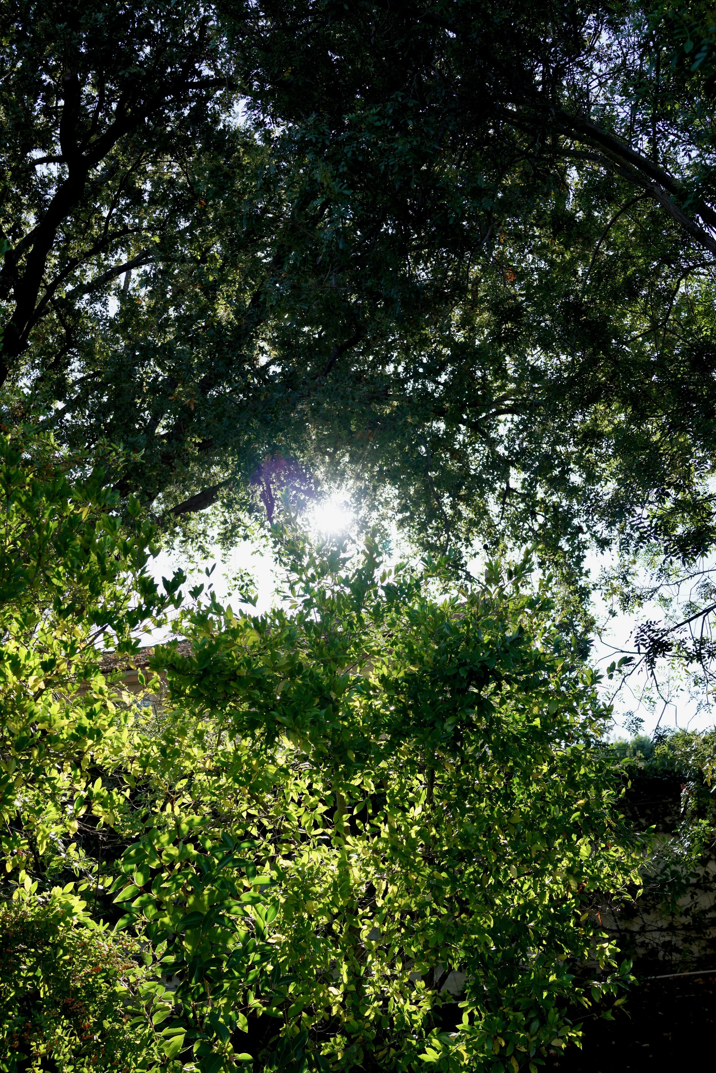  Clusters 2023:51 (2023) C-print on wood panel, 60”x40” 