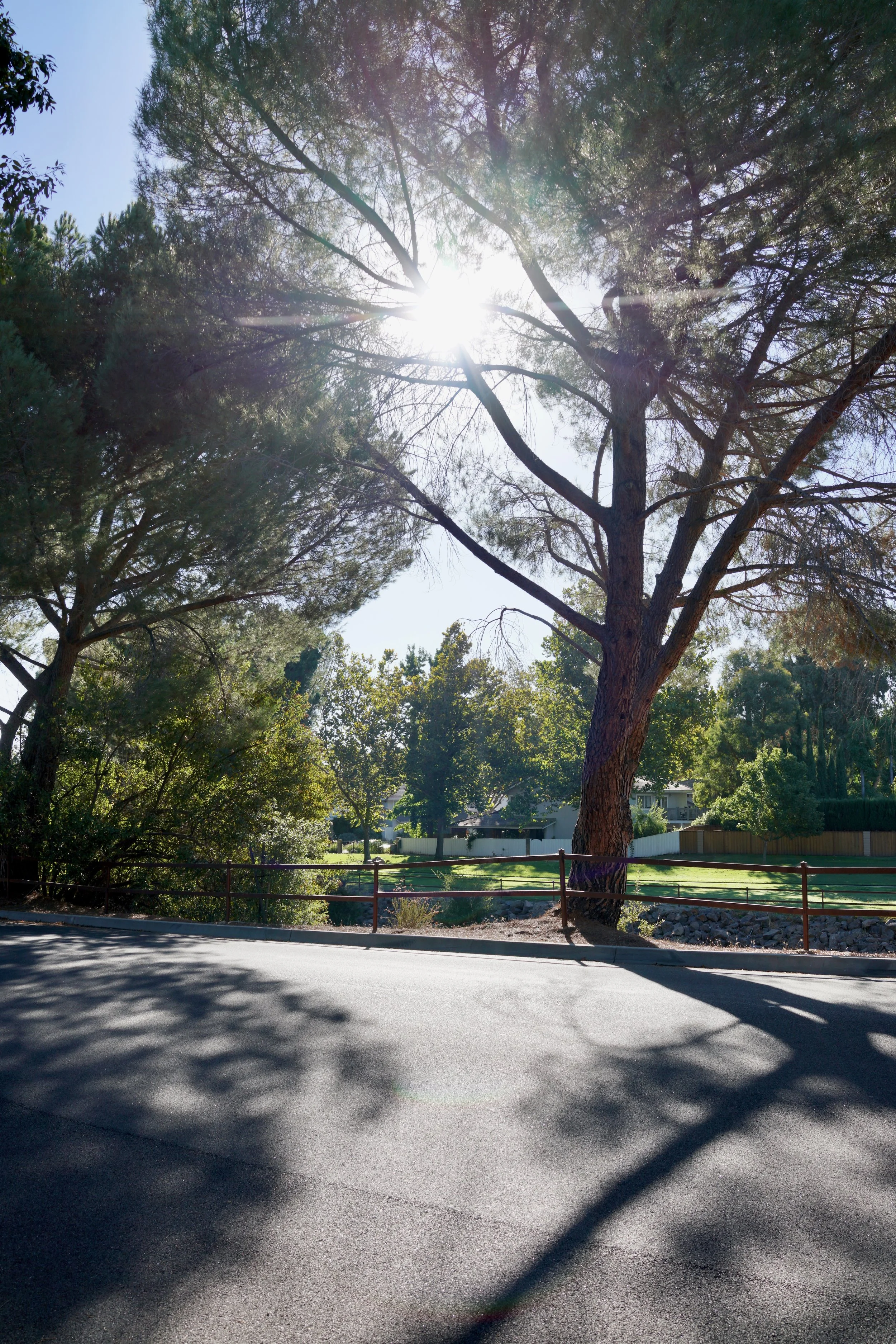  Clusters 2023:52 (2023) C-print on wood panel, 60”x40” 