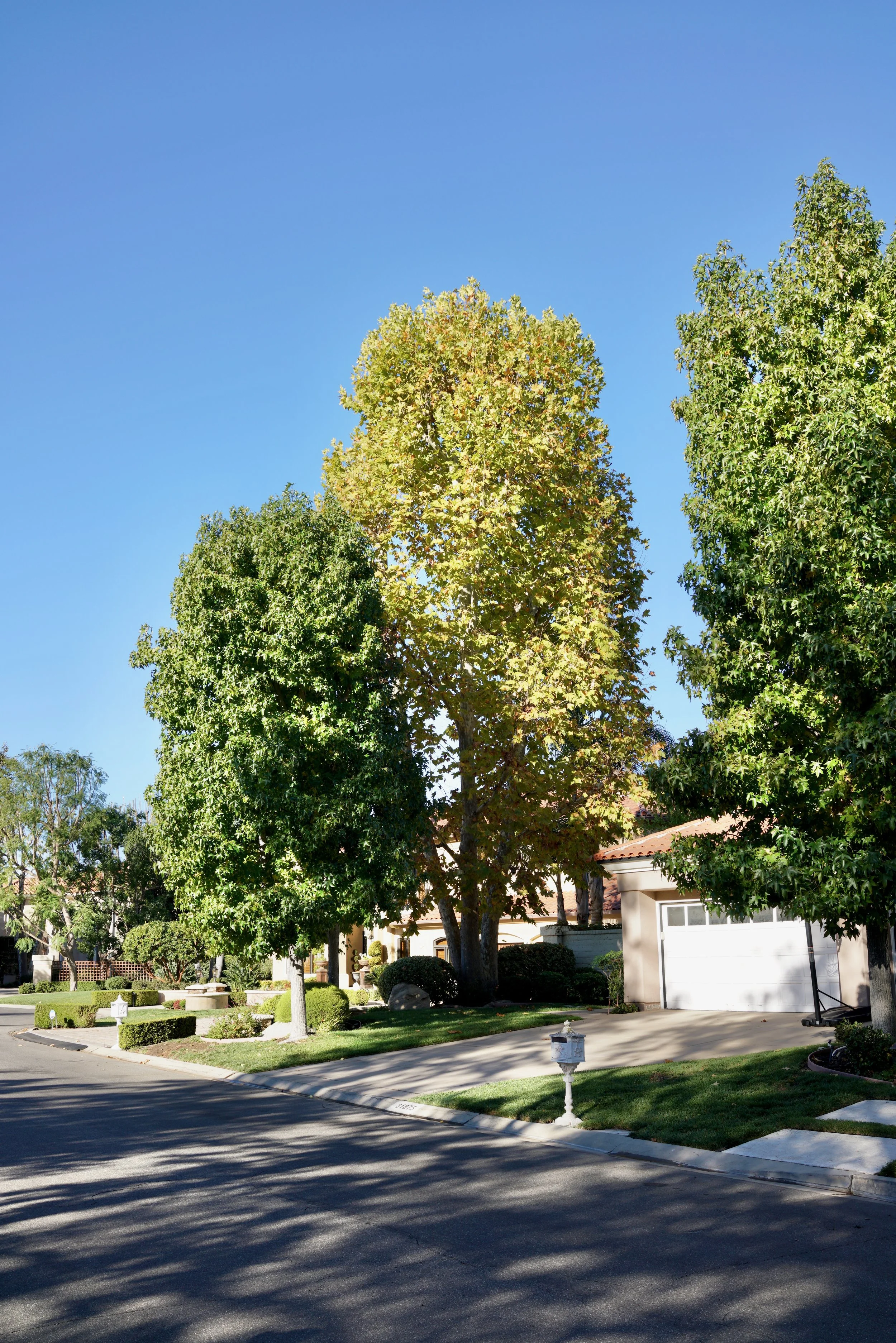  Clusters 2023:53 (2023) C-print on wood panel, 60”x40” 