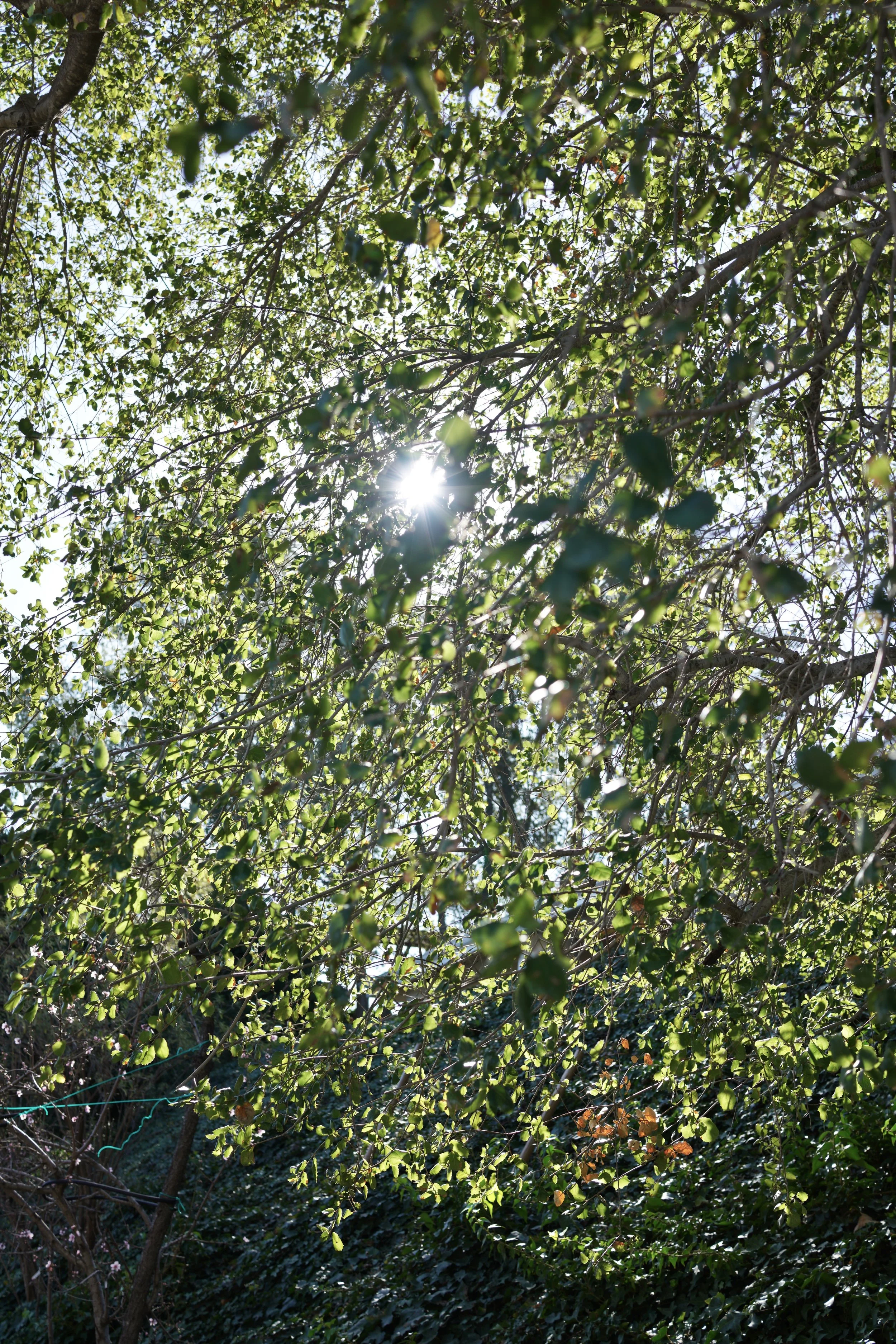  Spaces 2023:1 (2023) C-print on wood panel, 60”x40” 