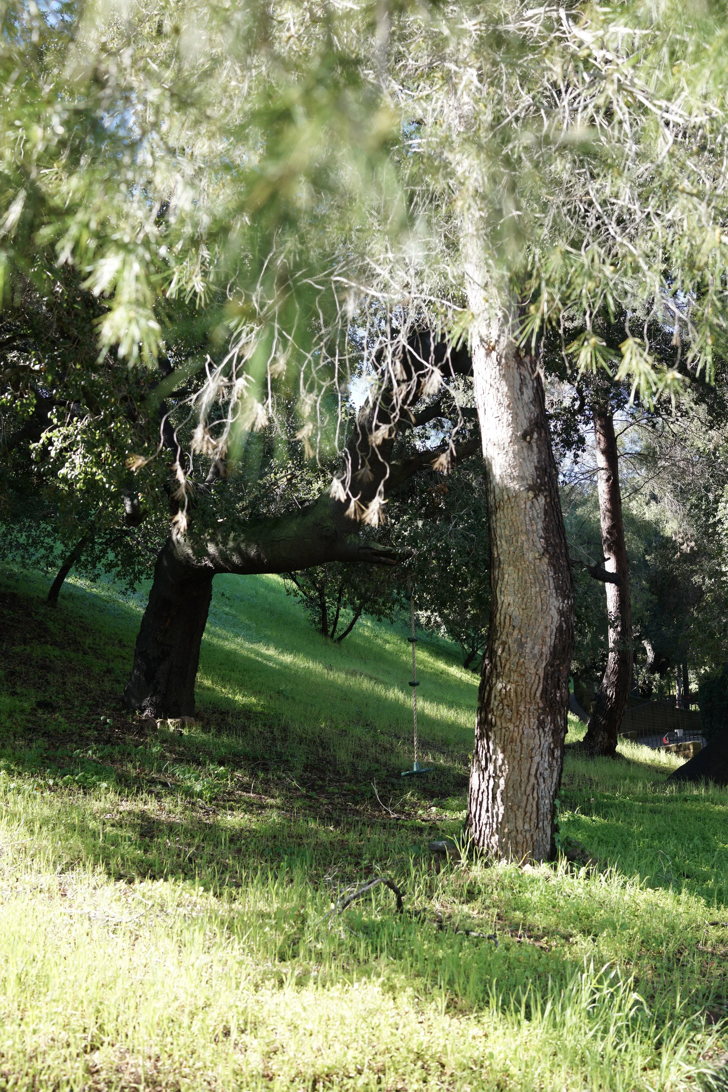  Spaces 2023:2 (2023) C-print on wood panel, 60”x40” 