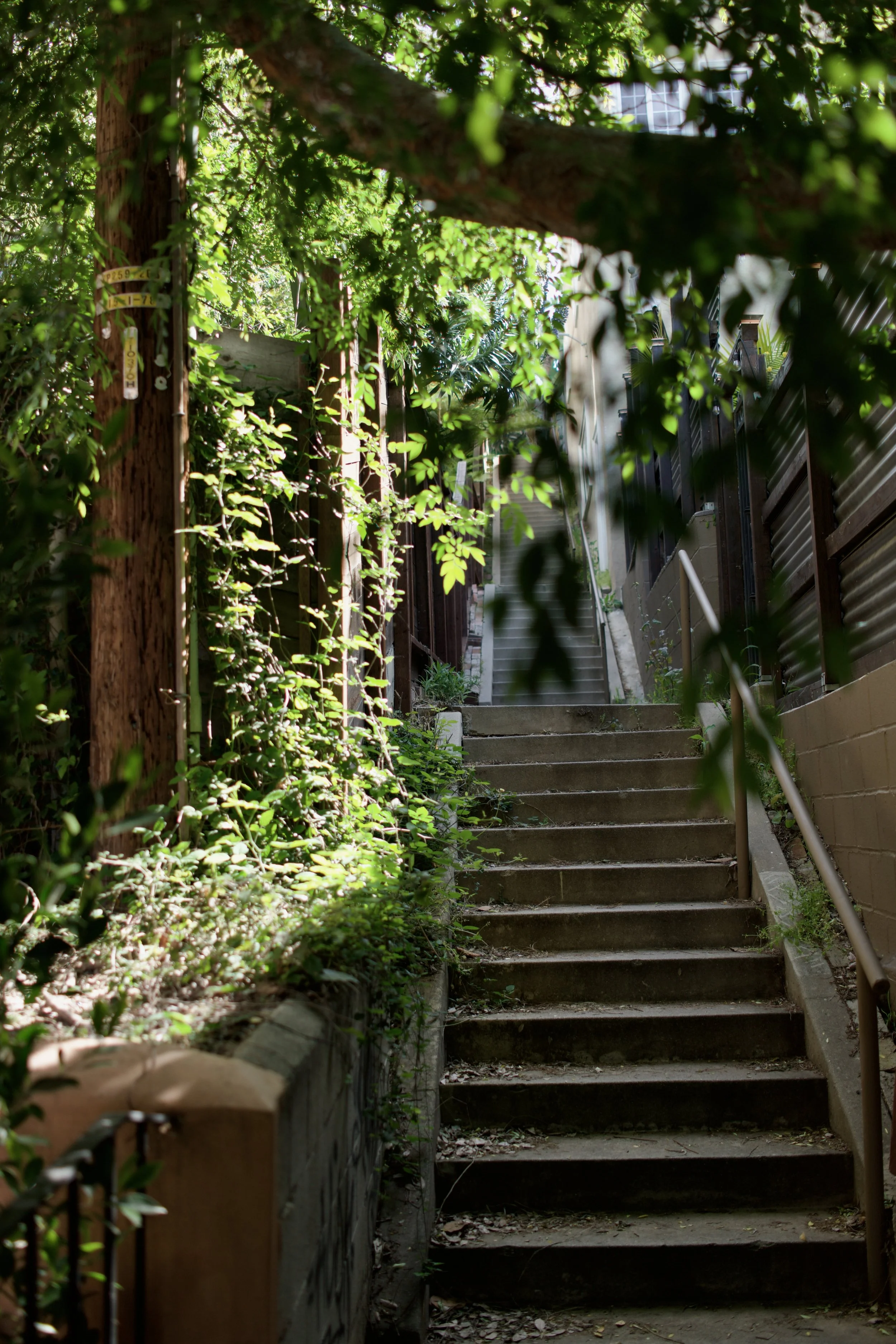  Spaces 2023:7 (2023) C-print on wood panel, 60”x40” 