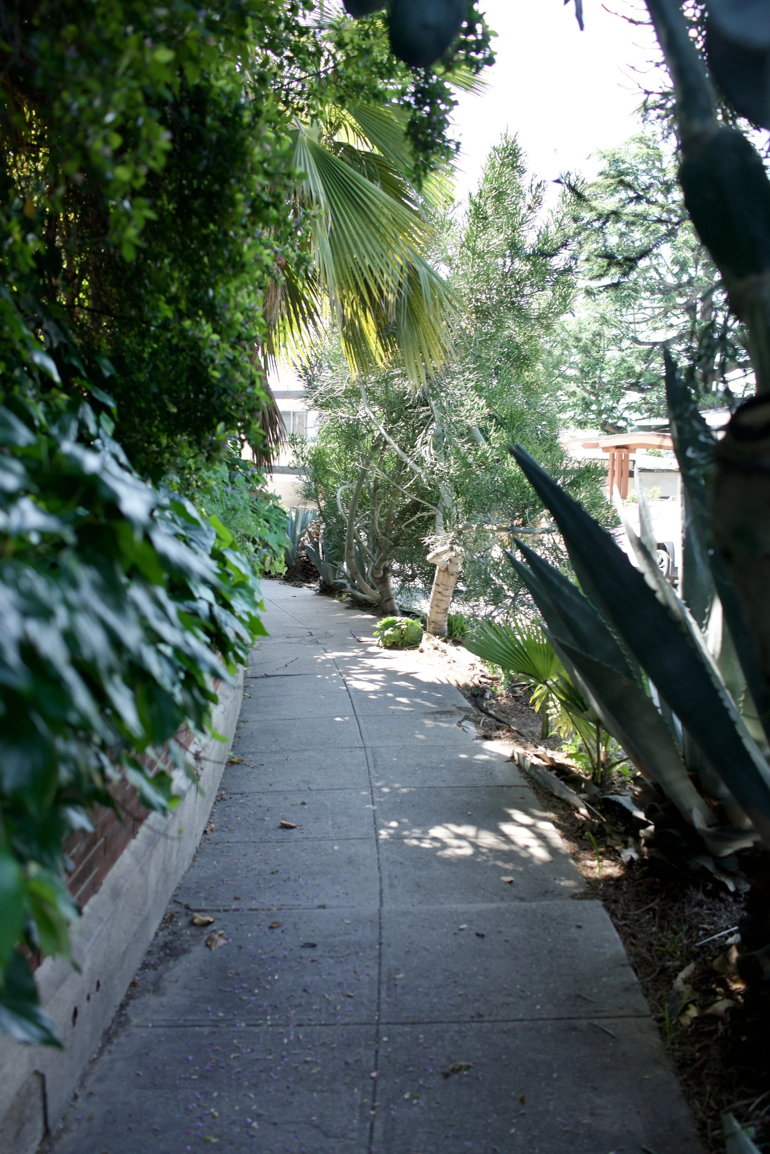  Spaces 2023:8 (2023) C-print on wood panel, 60”x40” 