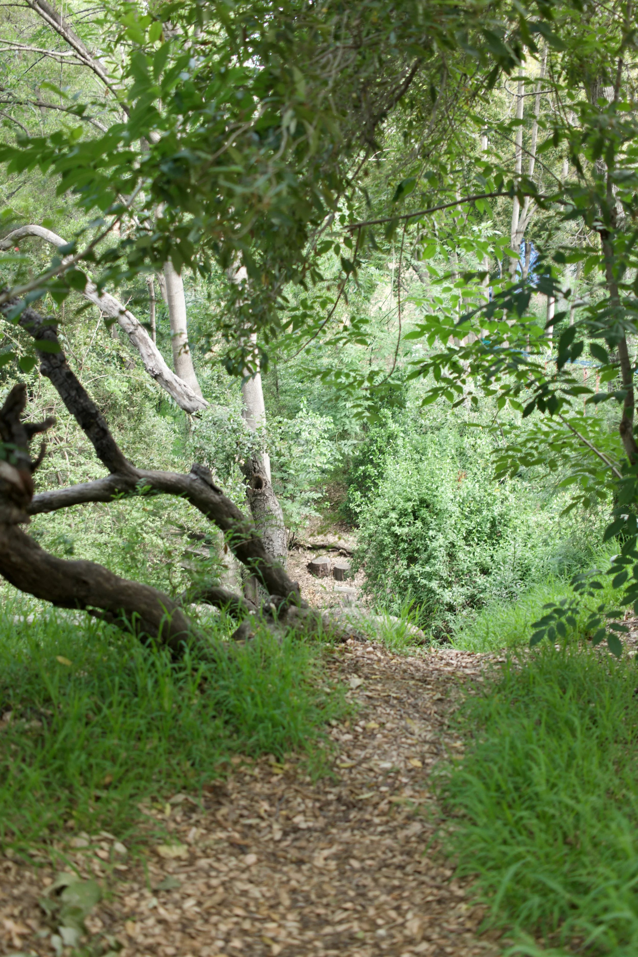  Spaces 2023:9 (2023) C-print on wood panel, 60”x40” 