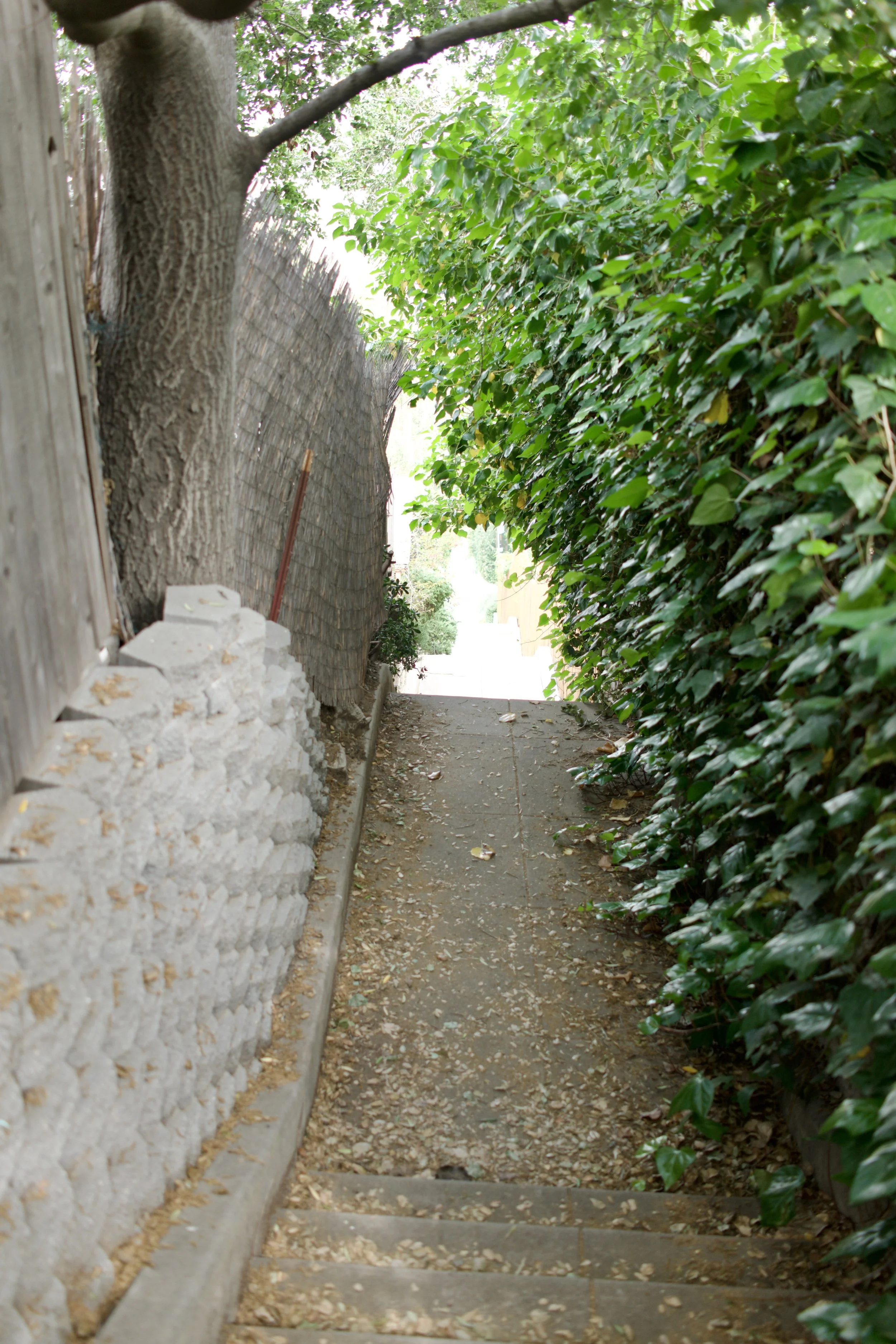  Spaces 2023:10 (2023) C-print on wood panel, 60”x40” 