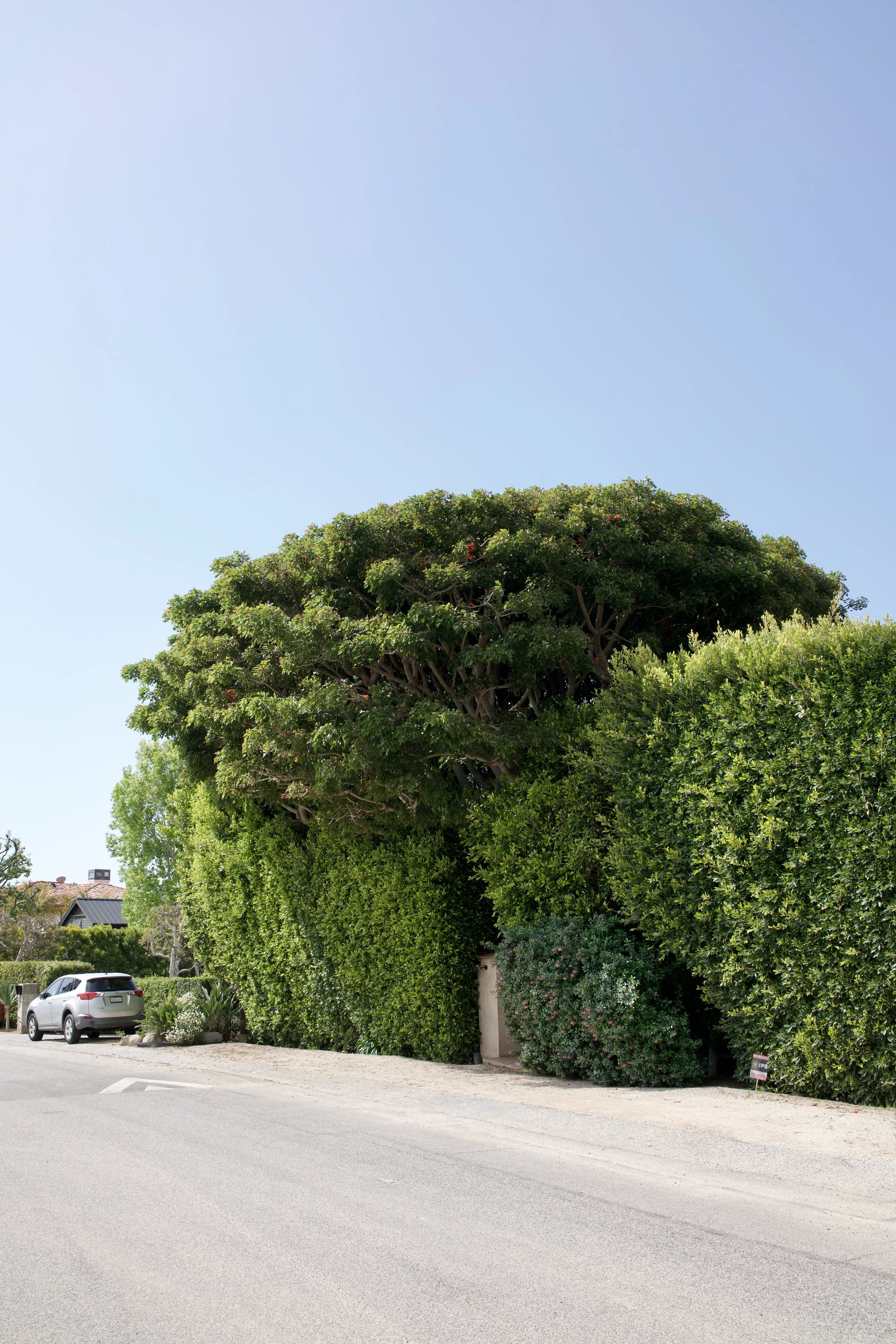  Spaces 2023:13 (2023) C-print on wood panel, 60”x40” 