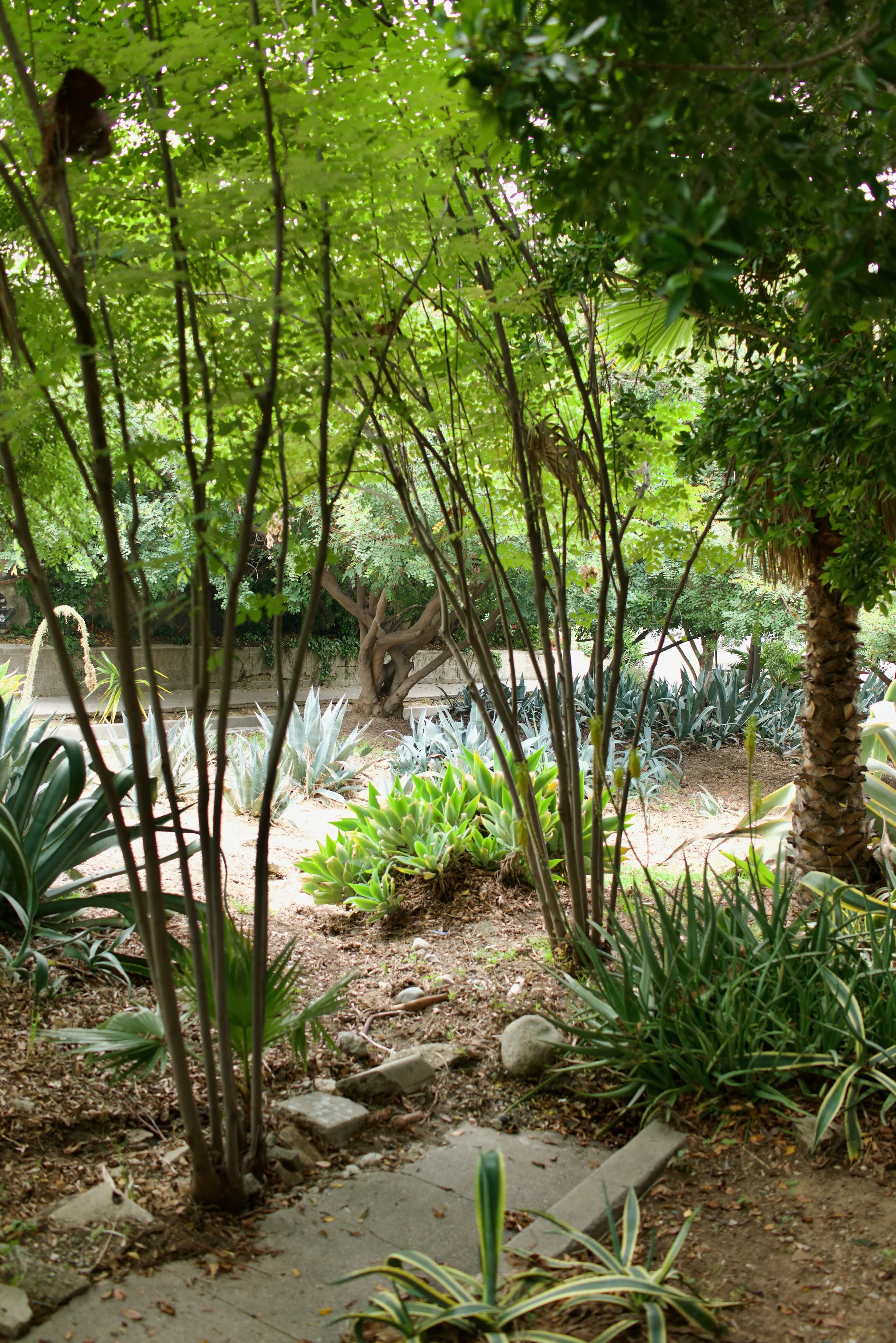  Spaces 2023:16 (2023) C-print on wood panel, 60”x40” 