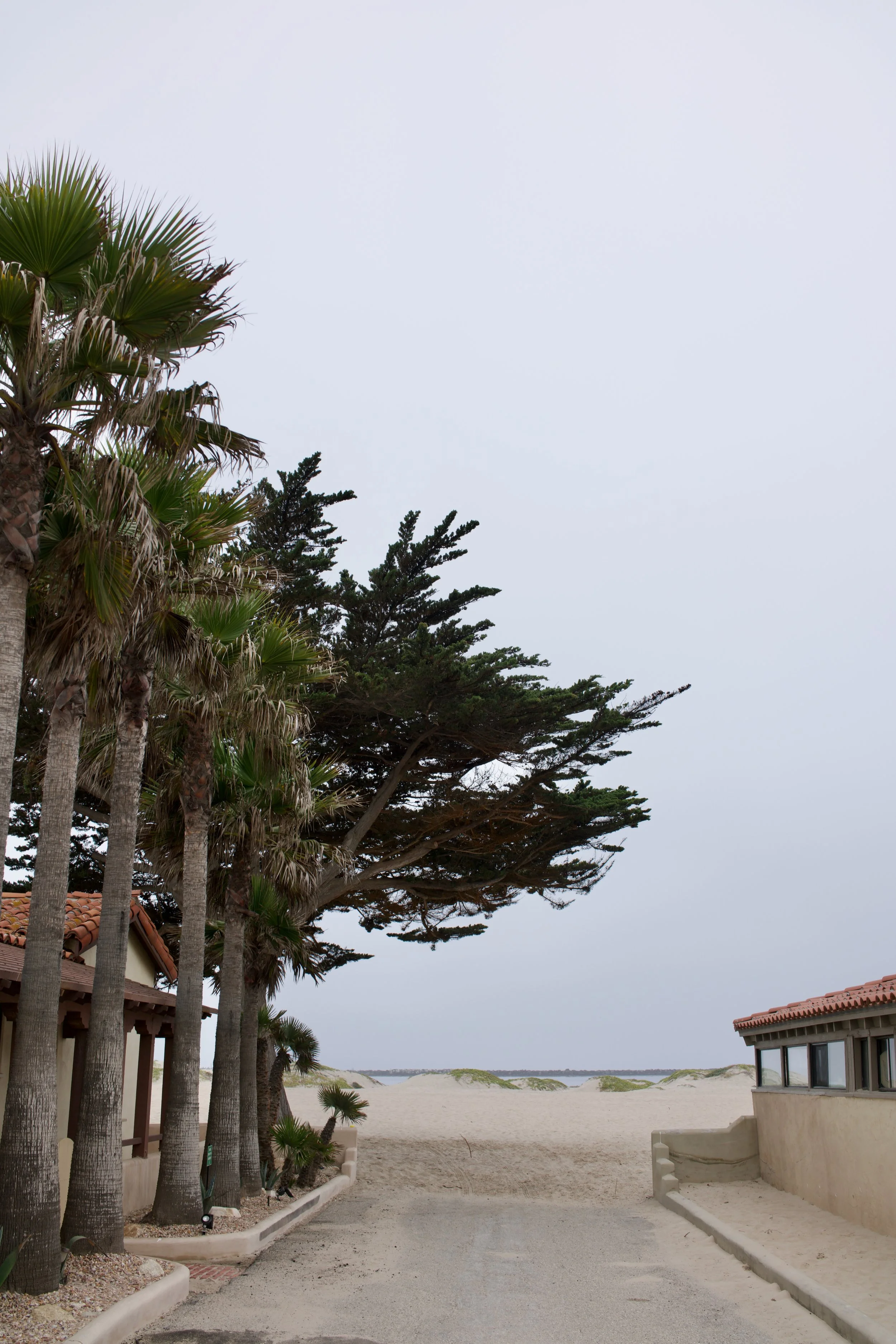  Spaces 2023:21 (2023) C-print on wood panel, 60”x40” 