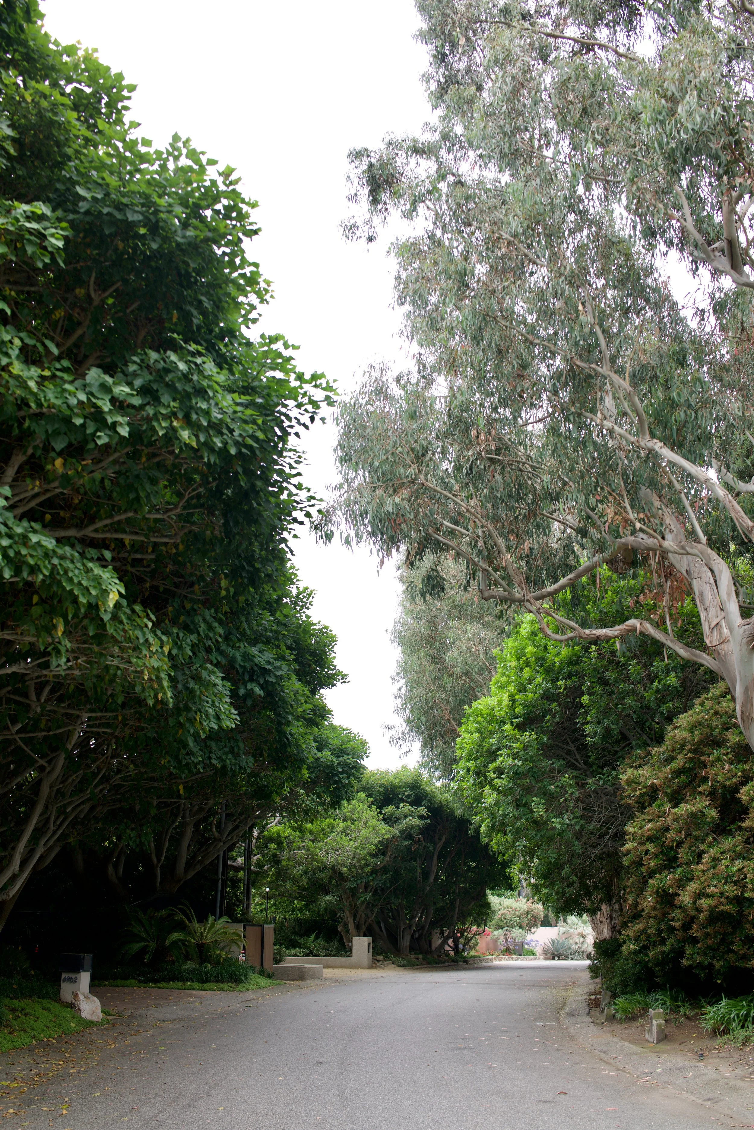  Spaces 2023:25 (2023) C-print on wood panel, 60”x40” 