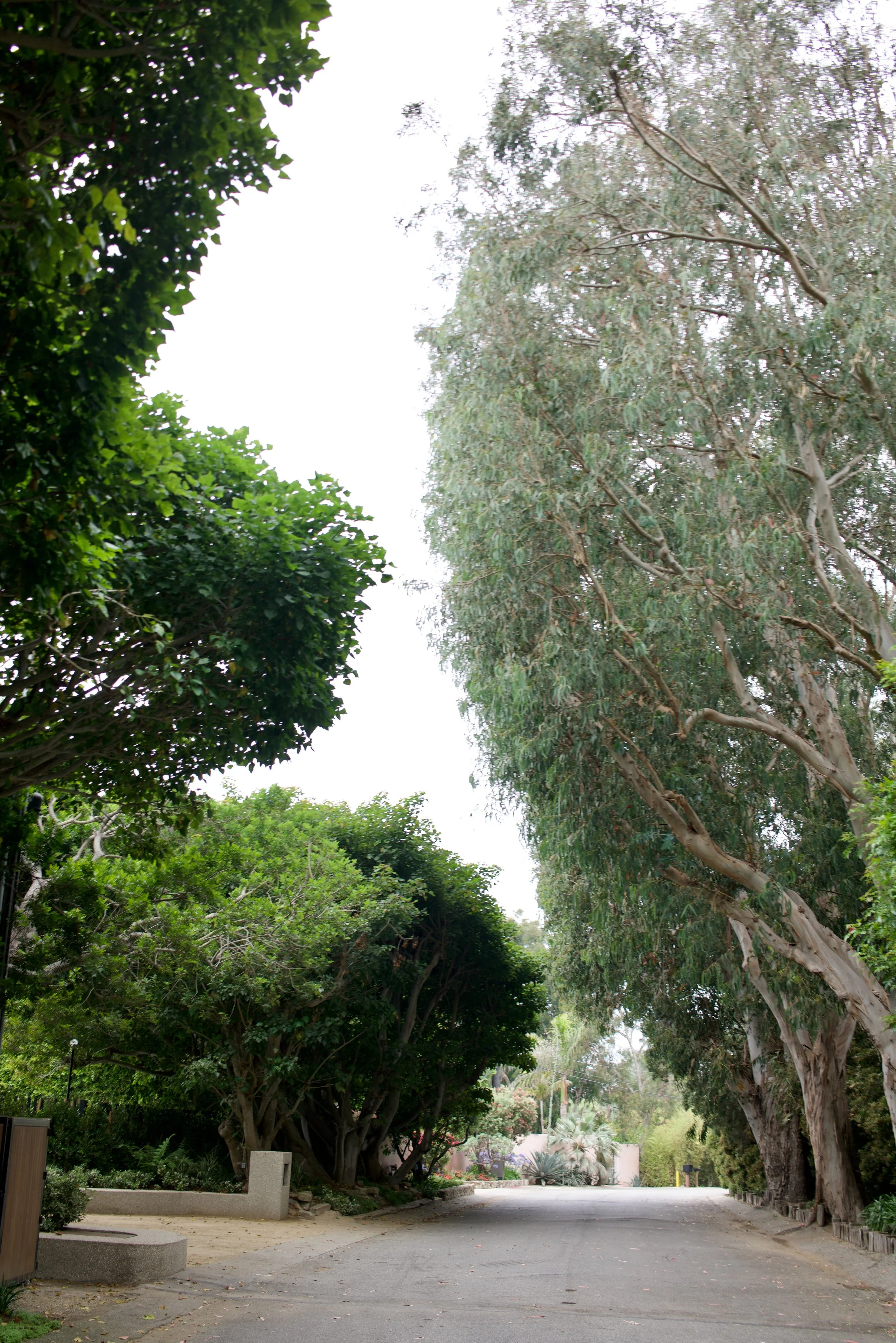  Spaces 2023:26 (2023) C-print on wood panel, 60”x40” 