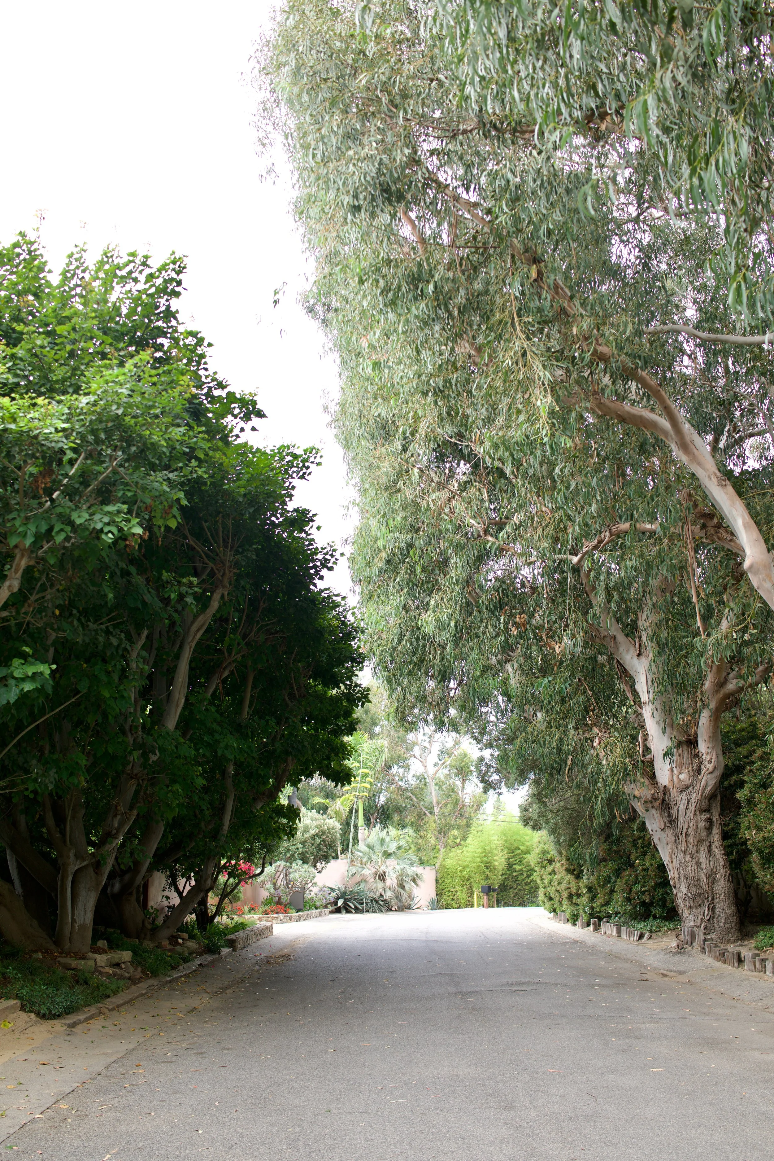  Spaces 2023:29 (2023) C-print on wood panel, 60”x40” 