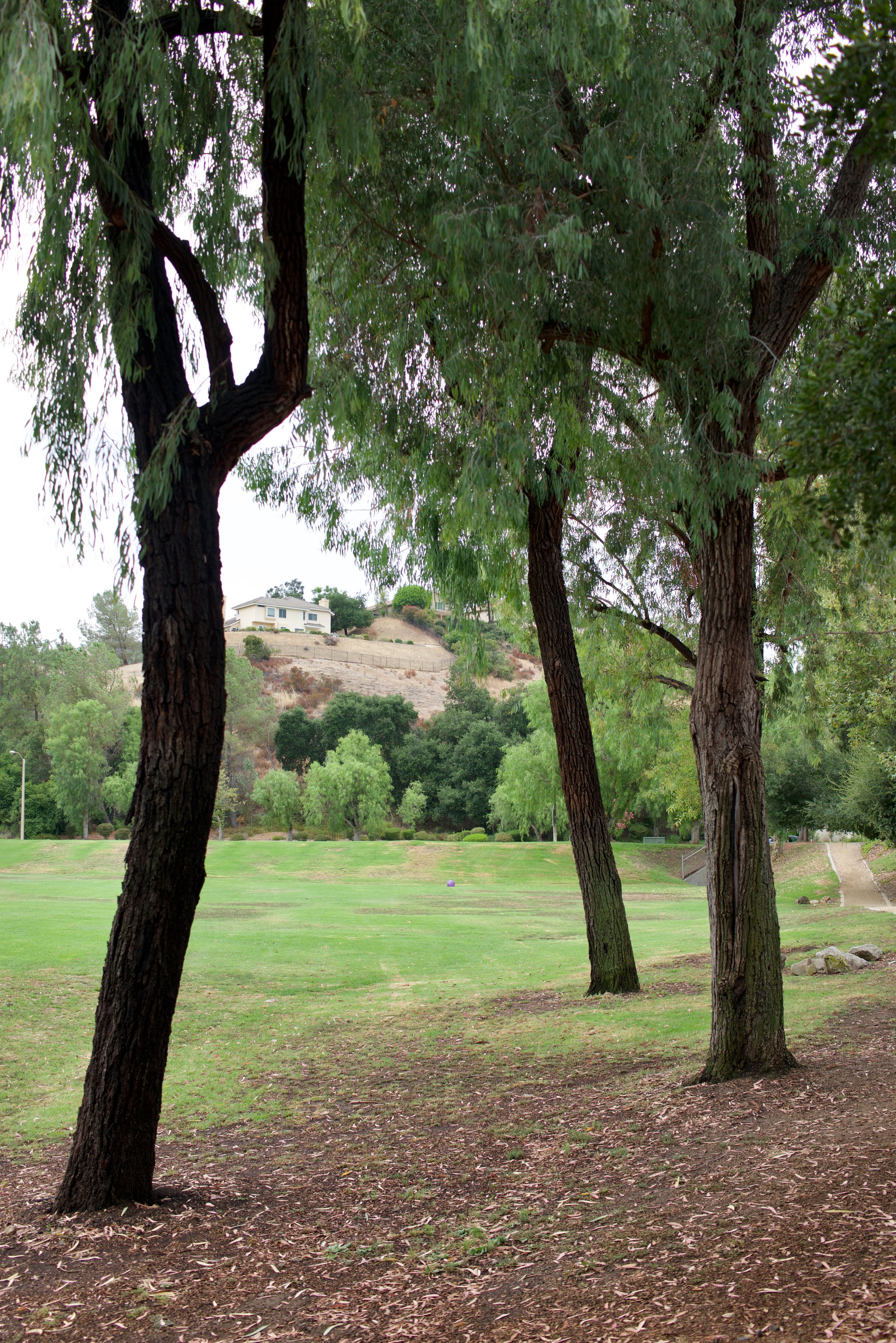  Spaces 2023:31 (2023) C-print on wood panel, 60”x40” 