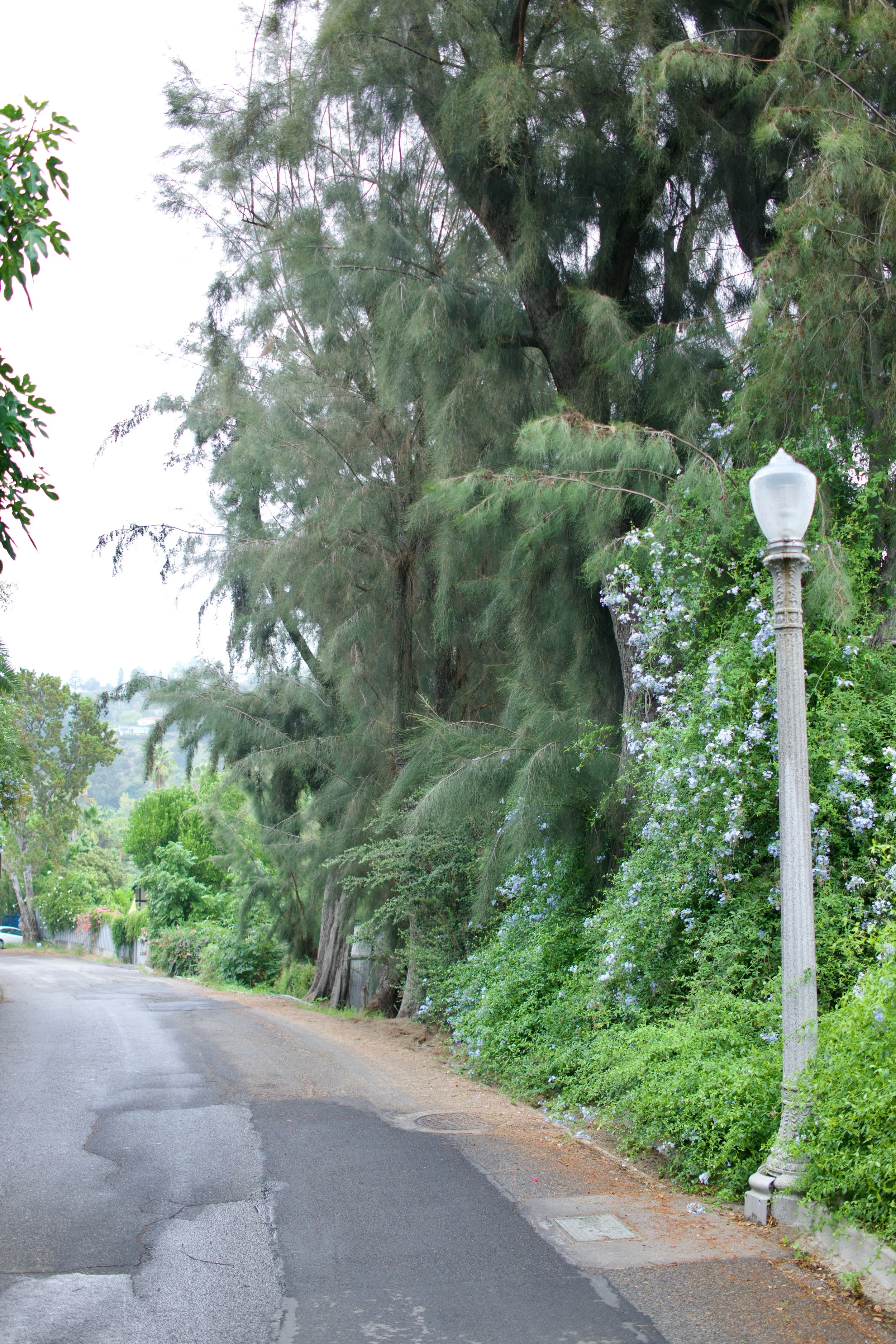  Spaces 2023:40 (2023) C-print on wood panel, 60”x40” 